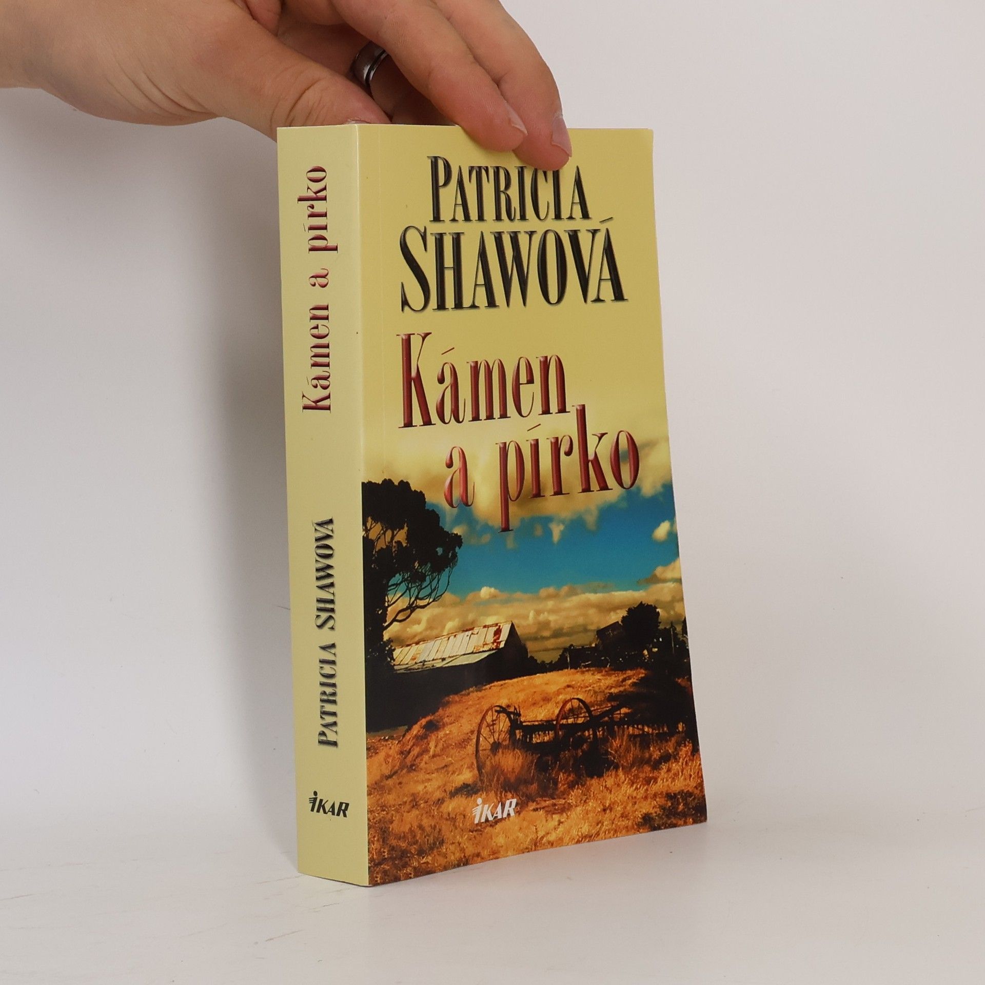 Patricia Shaw Kámen a pírko