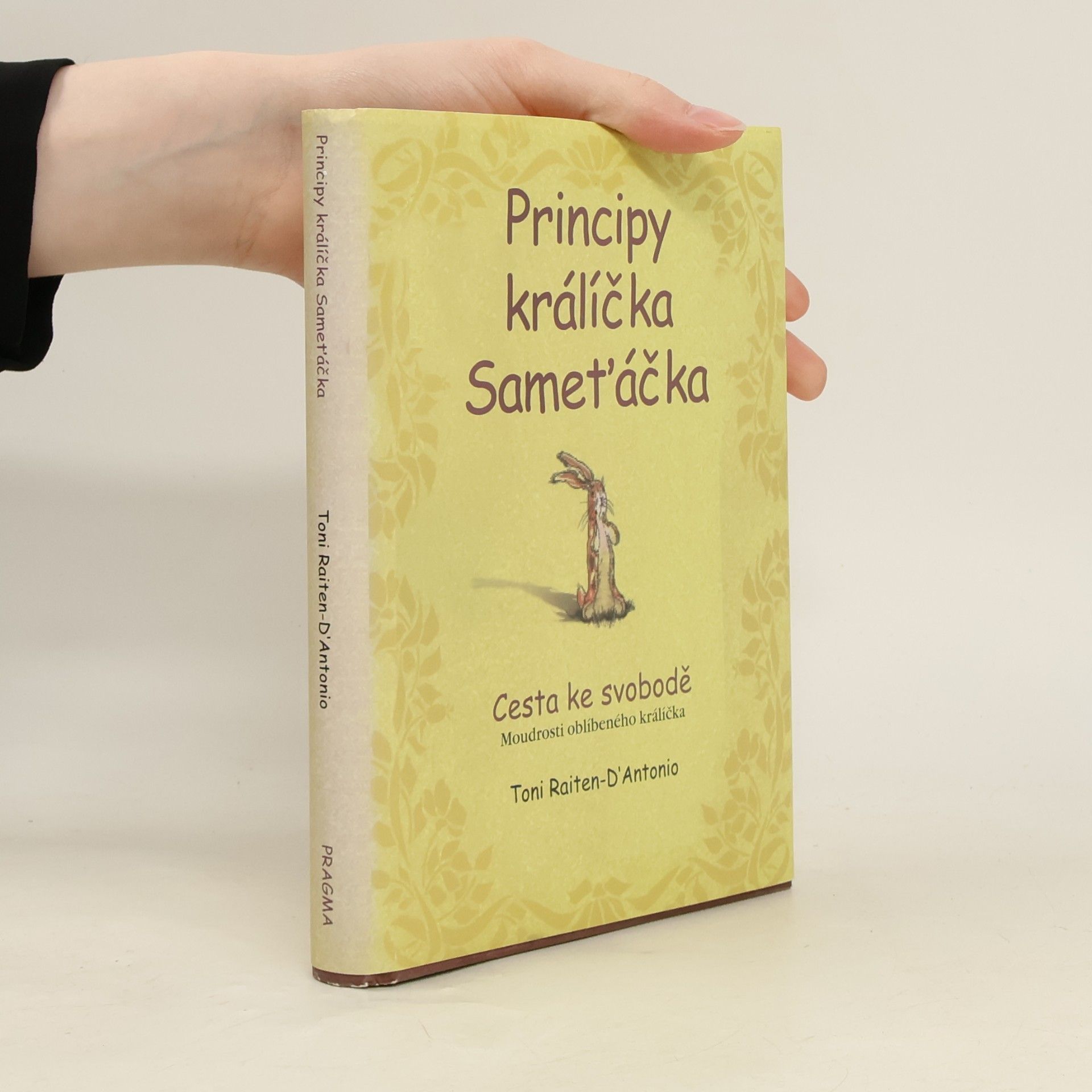Toni Raiten D. Antonio Principy králíčka Sameťáčka