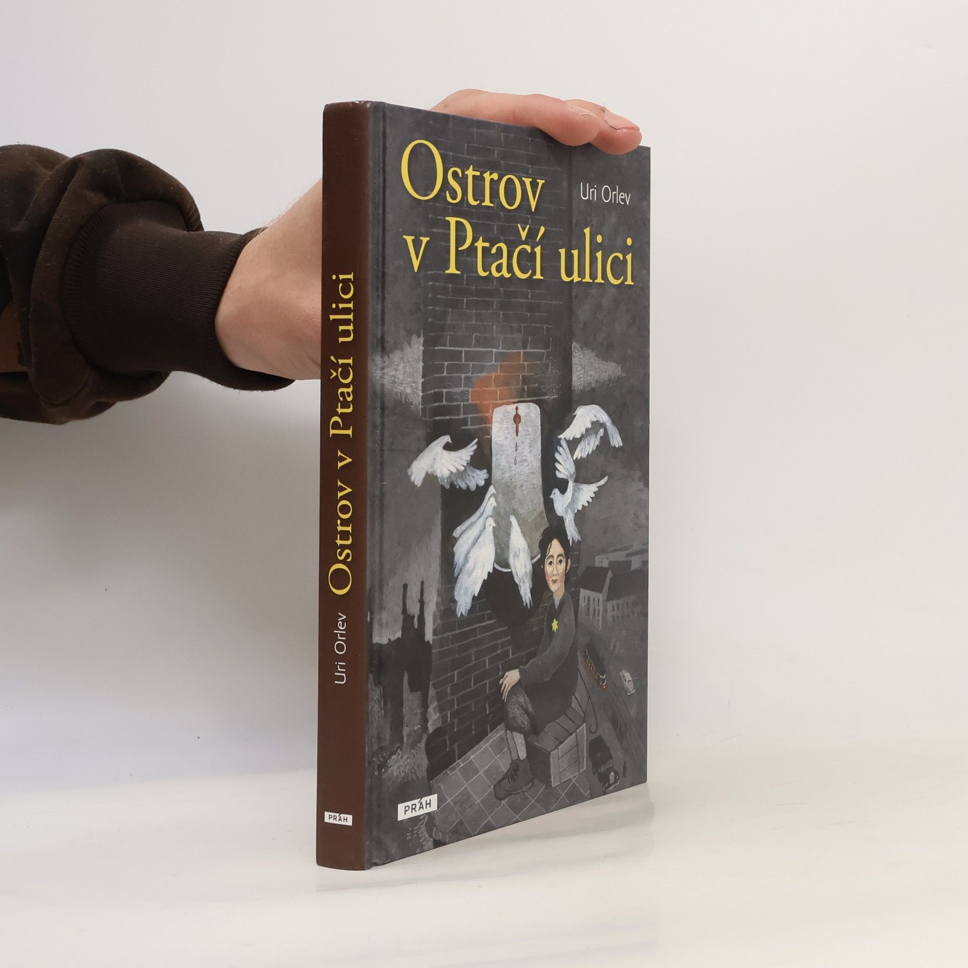 Uri Orlev Ostrov v Ptačí ulici