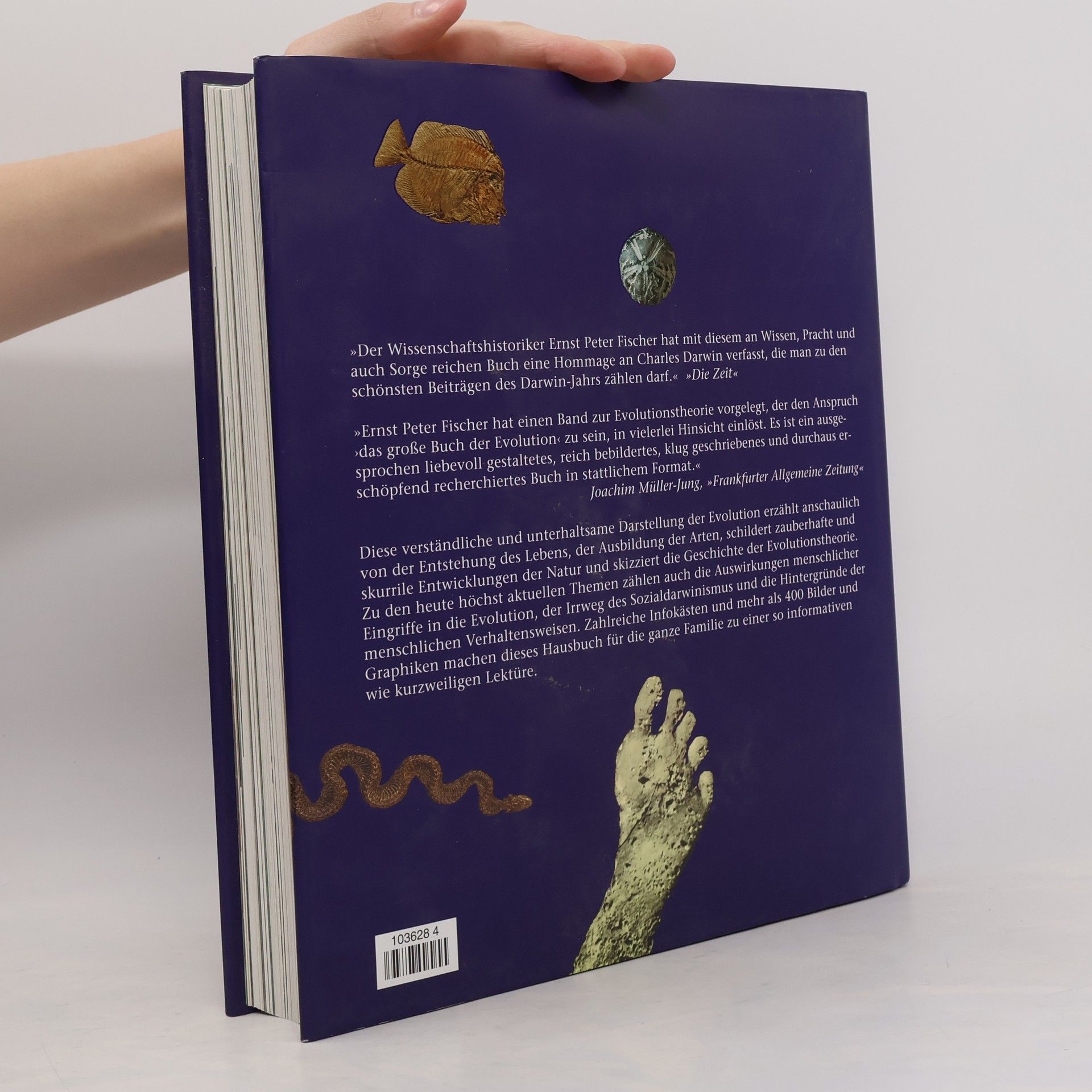 Erns Peter Fischer Das große Buch der Evolution