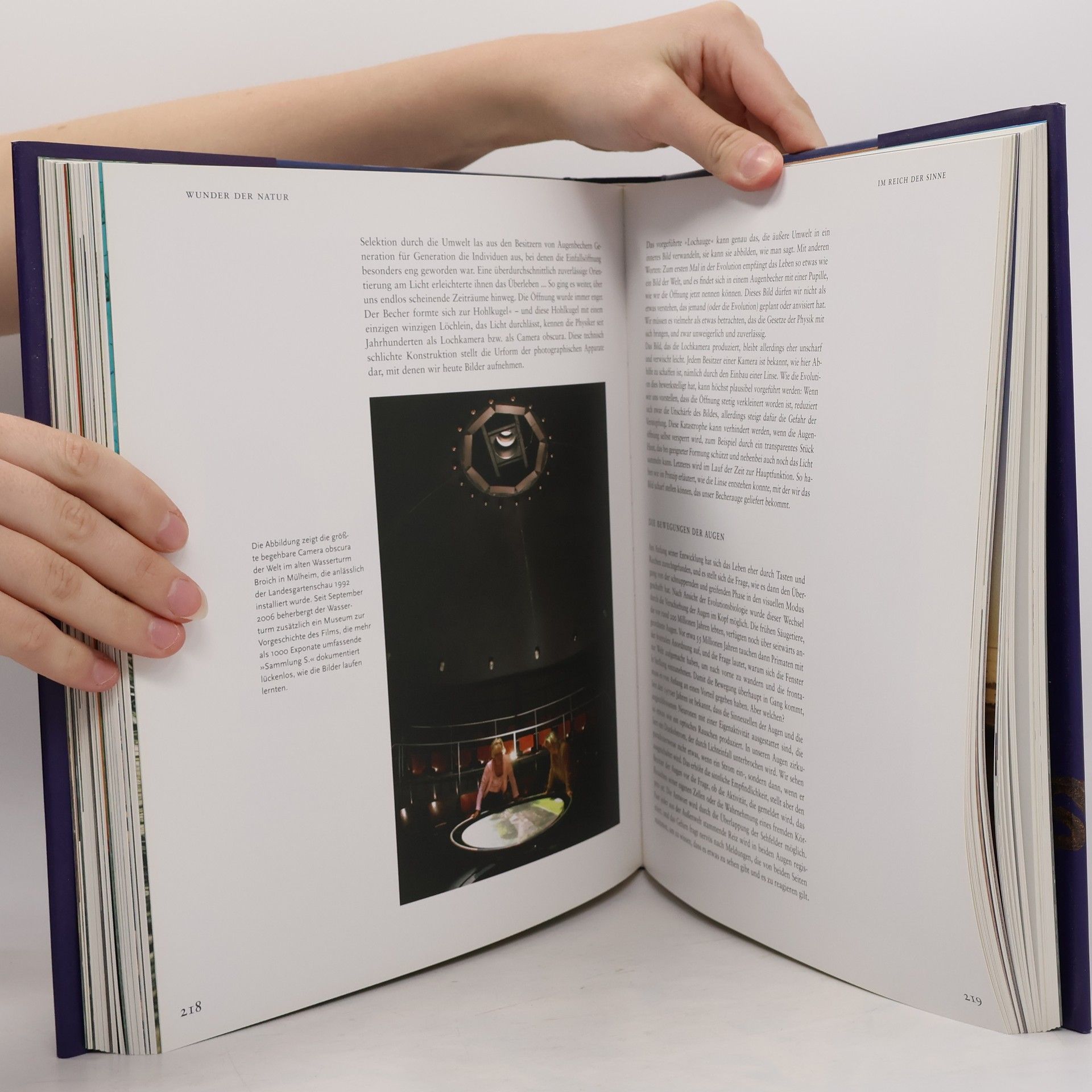 Erns Peter Fischer Das große Buch der Evolution