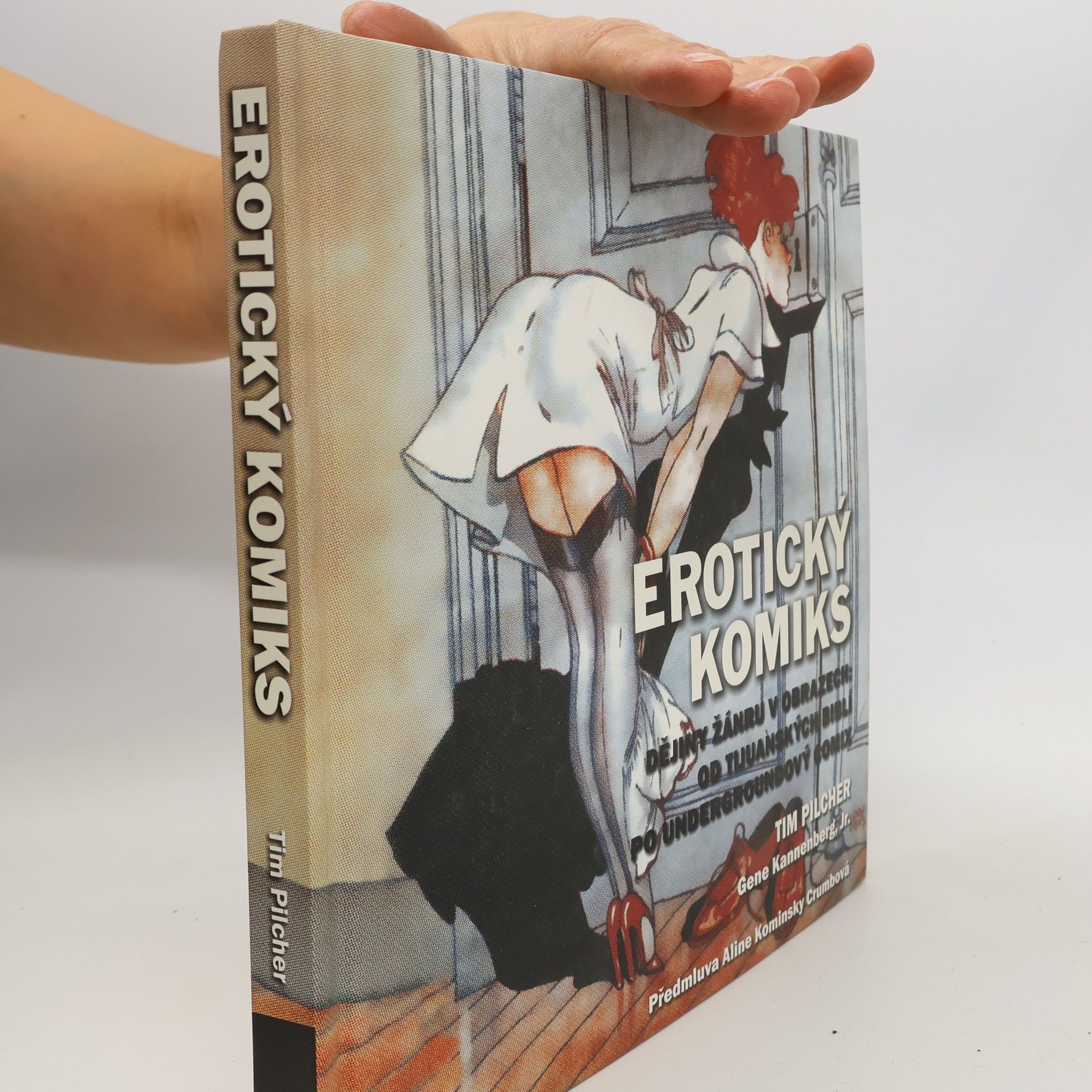 Tim Pilcher Erotický komiks: Dějiny žánru v obrazech