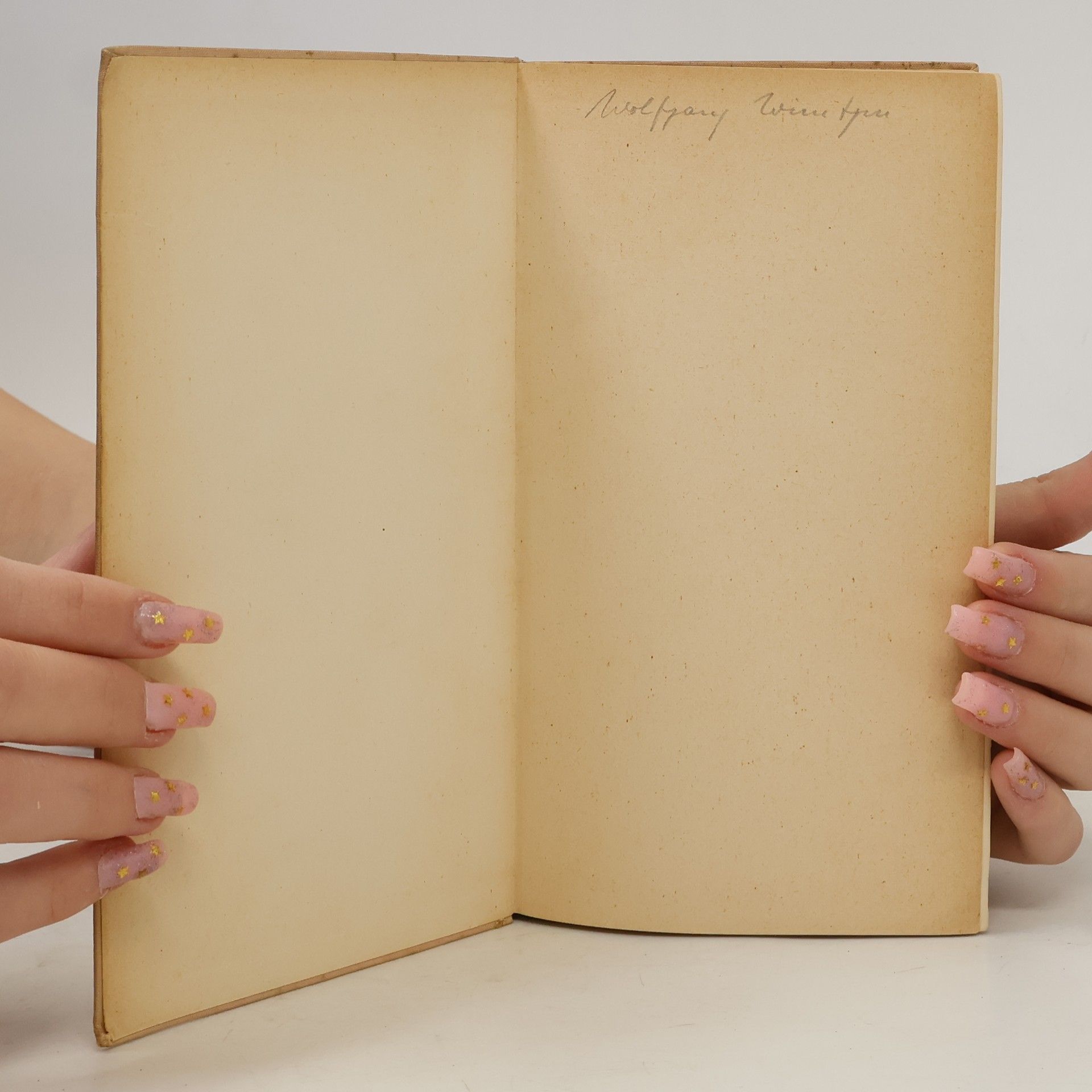 Marcel Proust In Swanns Welt