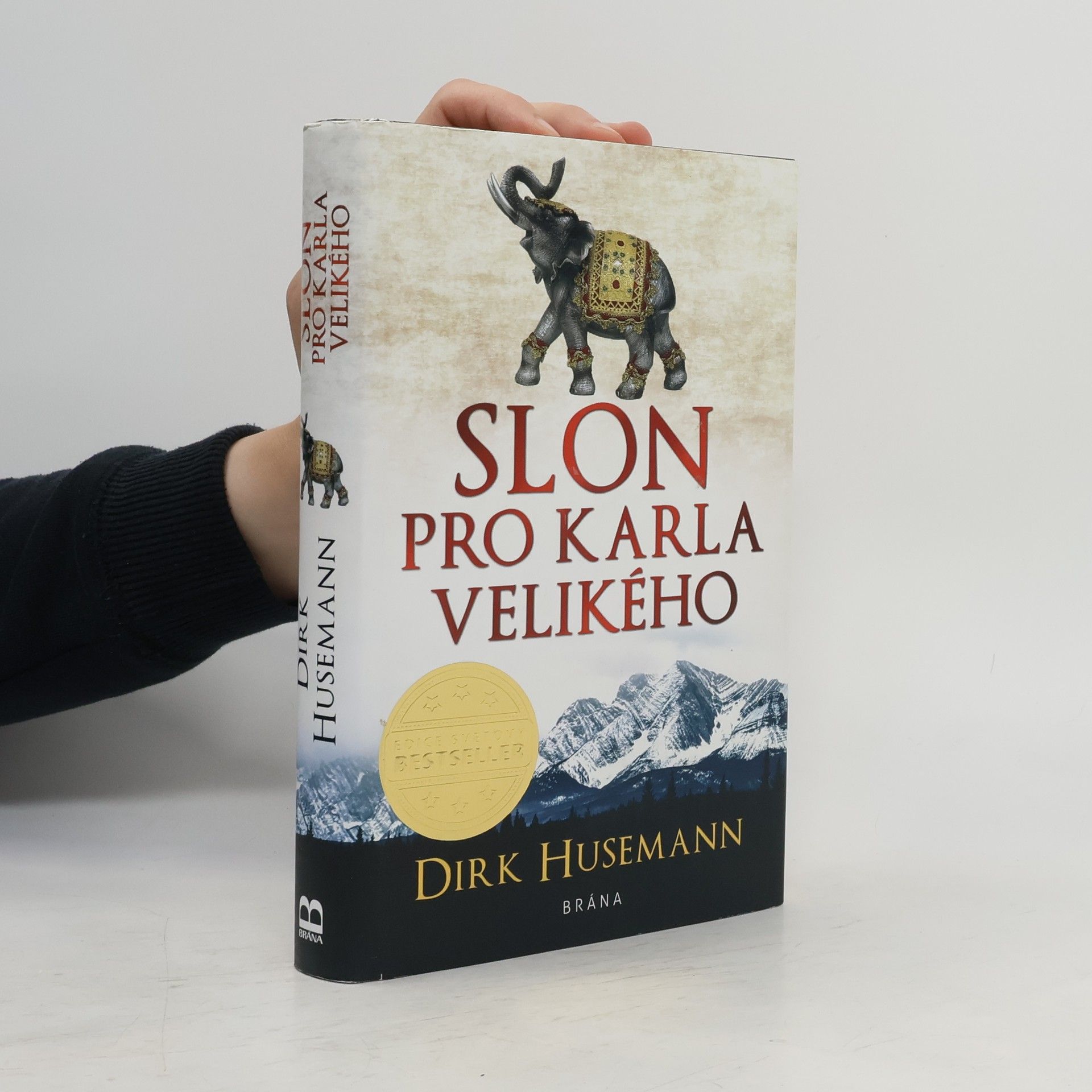 Dirk Husemann Slon pro Karla Velikého