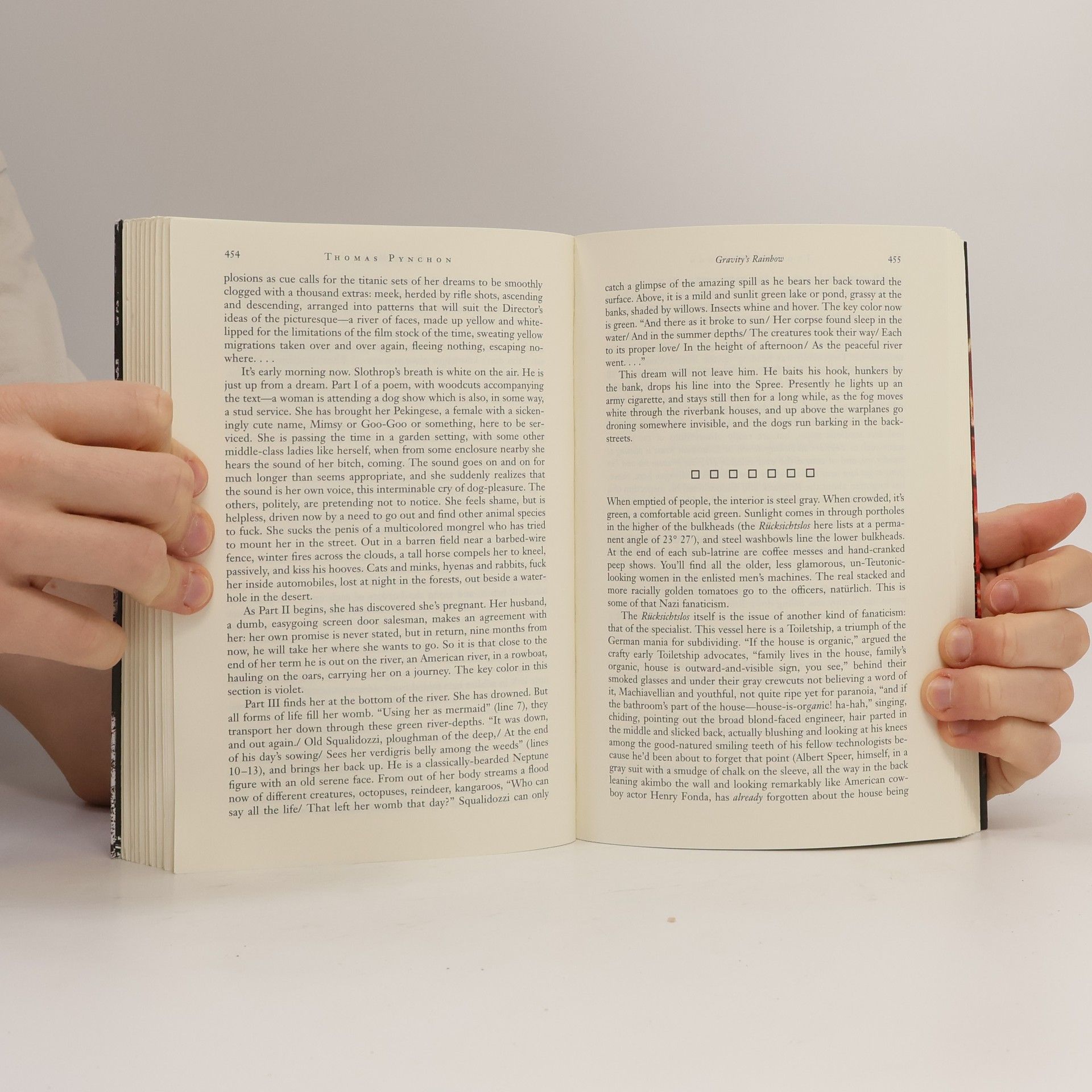 Thomas Pynchon Demolierung - Gründung - Ursprung