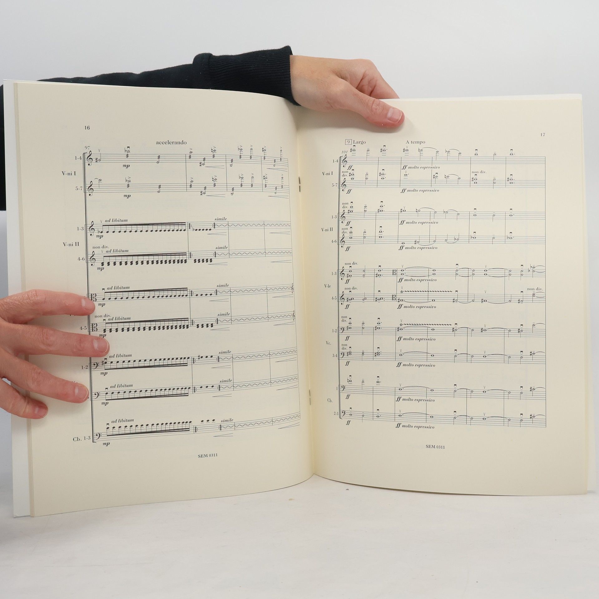 Hanna Havrylets Canticum für Streichorchester
