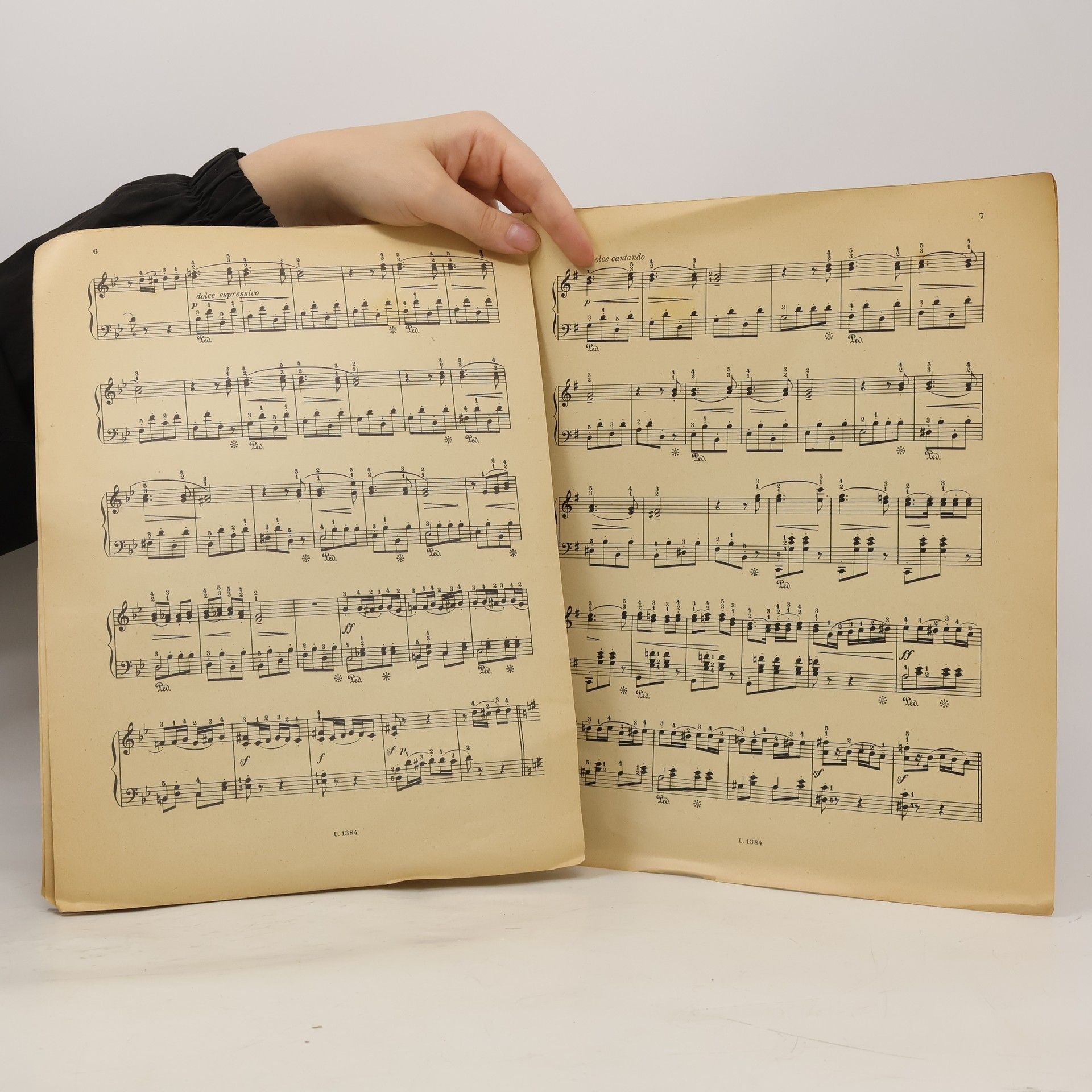 Bedřich Smetana Z českých luhů a hájů. Snadná fanzasie 2 ruč.