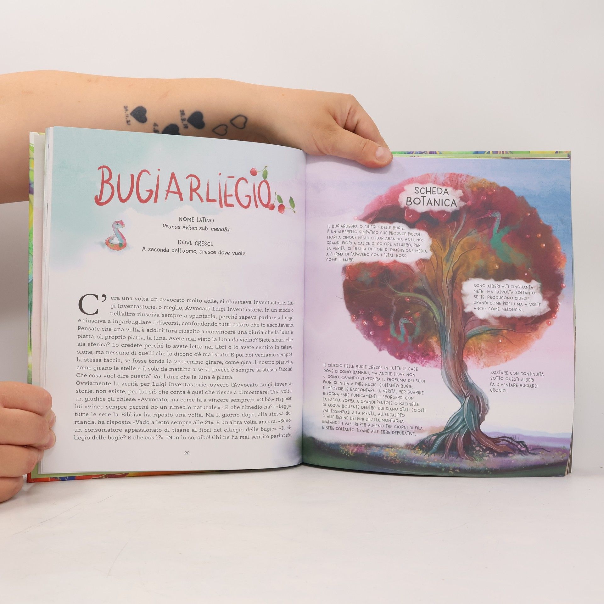 Tiziano Fratus Albi illustrati - 9: Manuale per giovani inventori di alberi e foreste