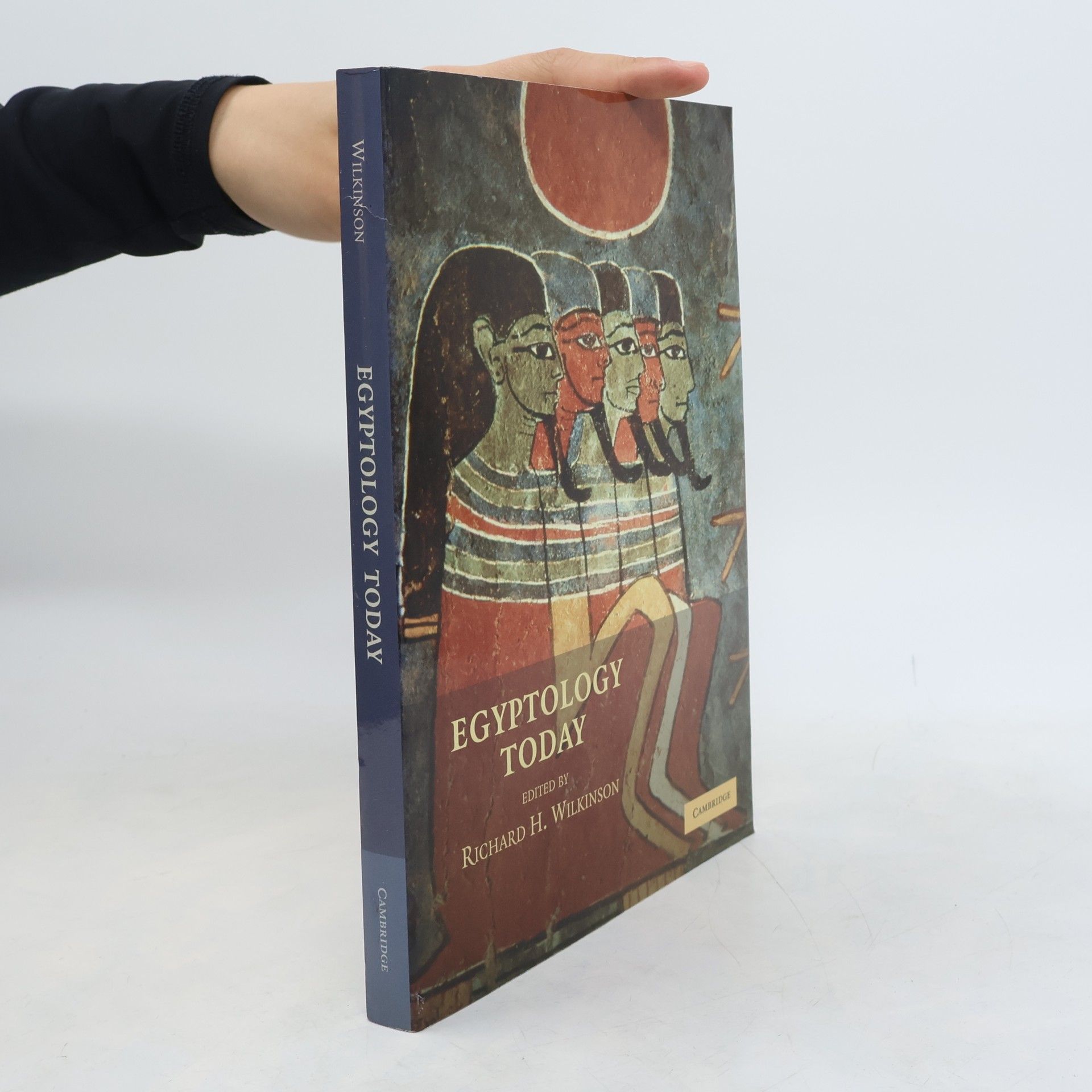 Richard H. Wilkinson Egyptology Today