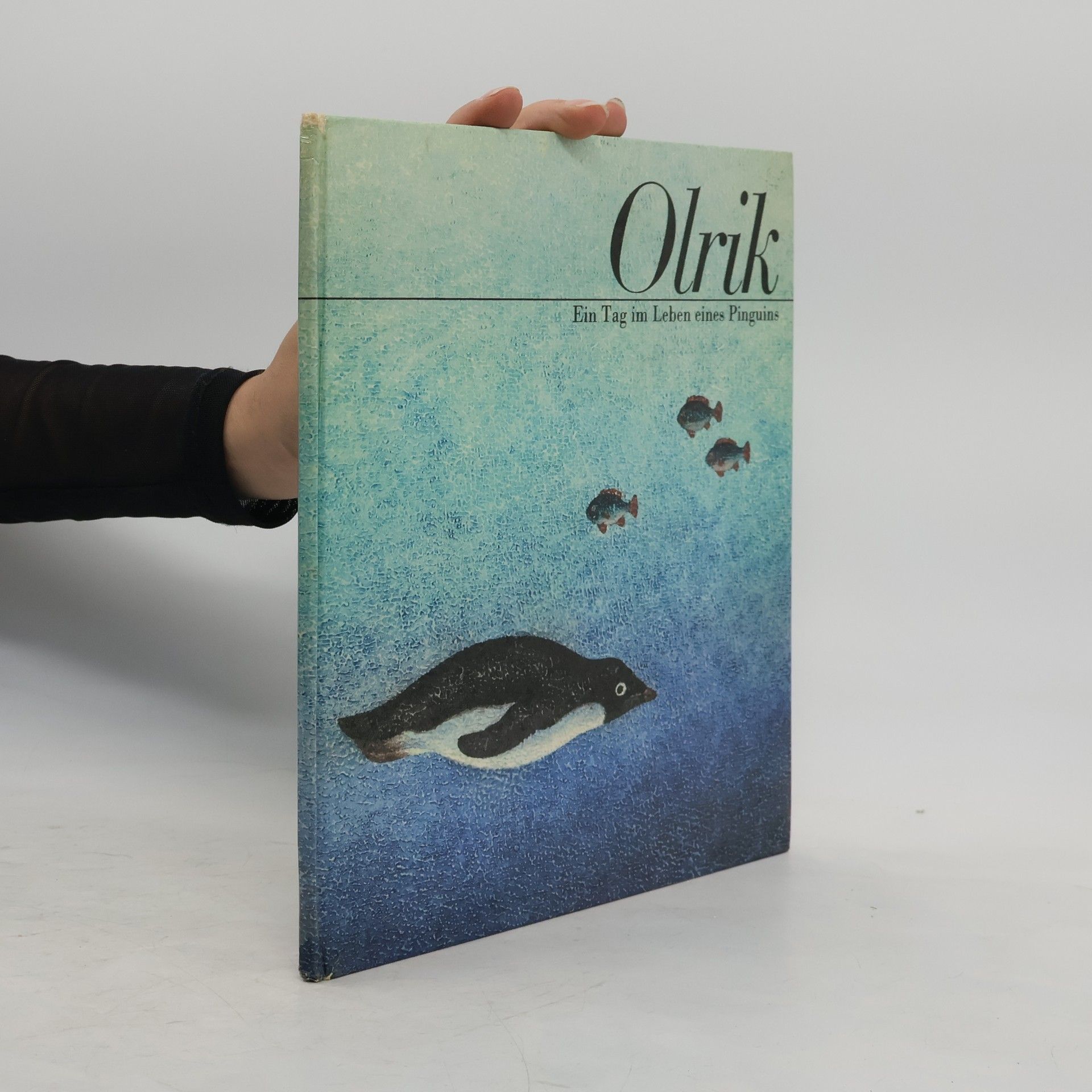 Collectif d'auteurs Olrik. Ein Tag im Leben eines Pinguins