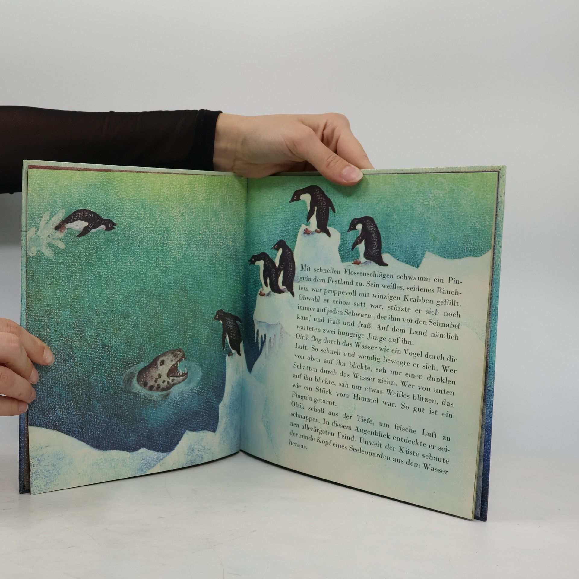 Collectif d'auteurs Olrik. Ein Tag im Leben eines Pinguins