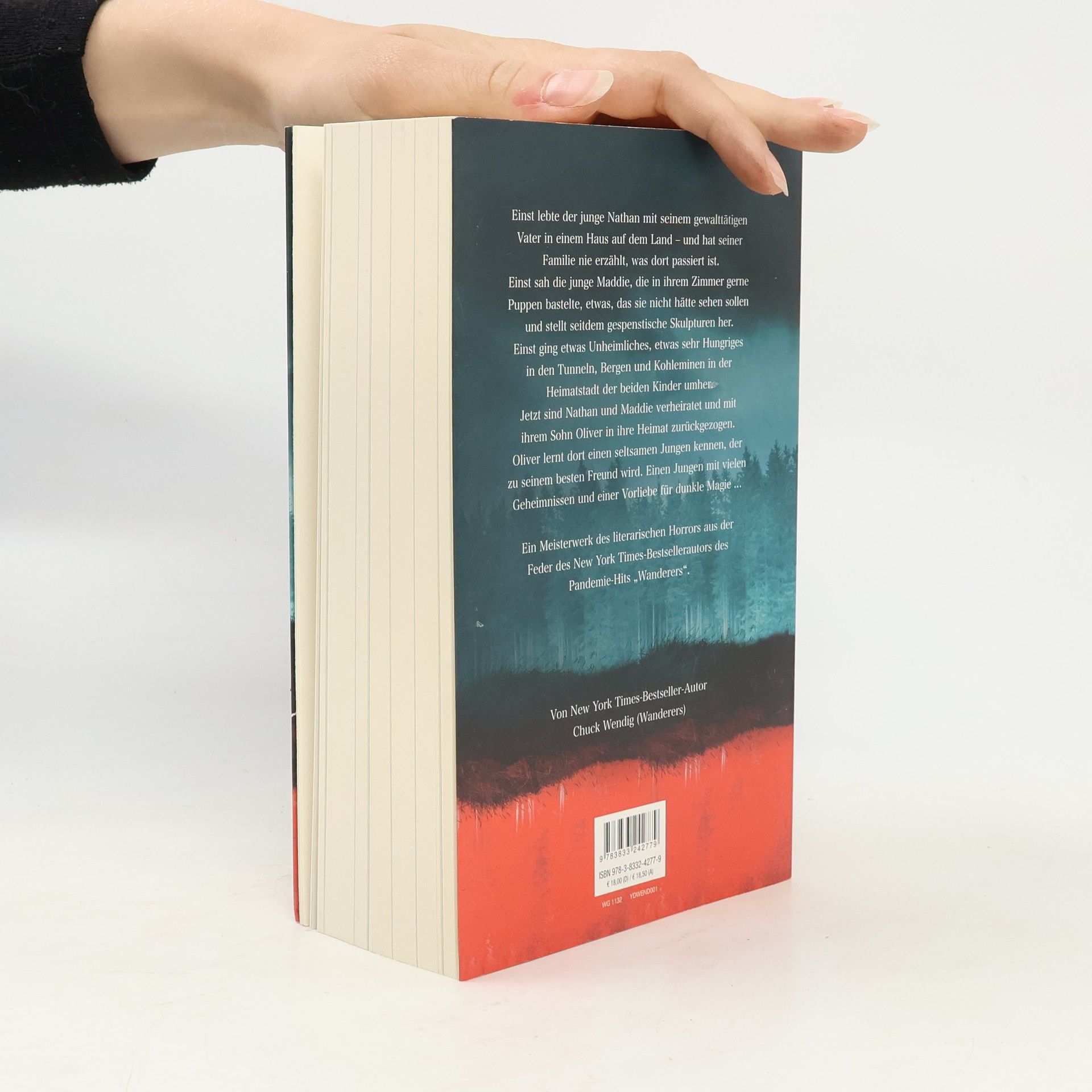 Chuck Wendig Das Grubenbuch
