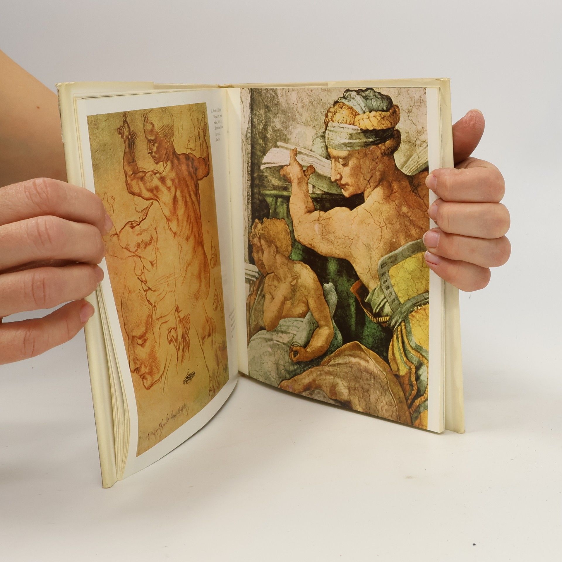 Oldřich J. Blažíček Michelangelo
