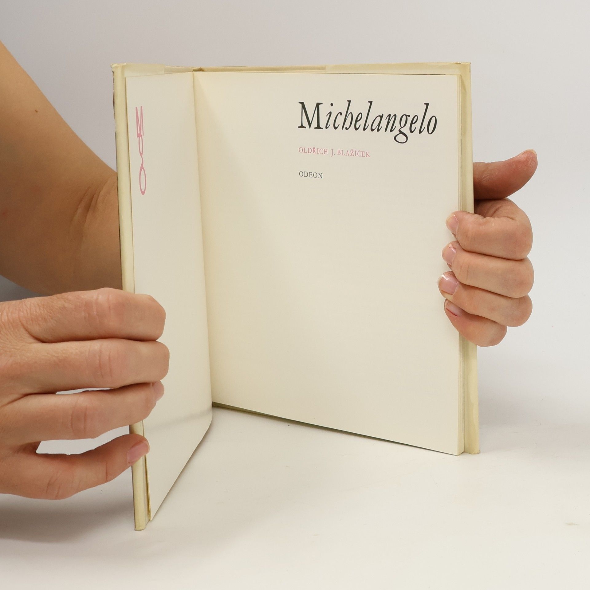 Oldřich J. Blažíček Michelangelo