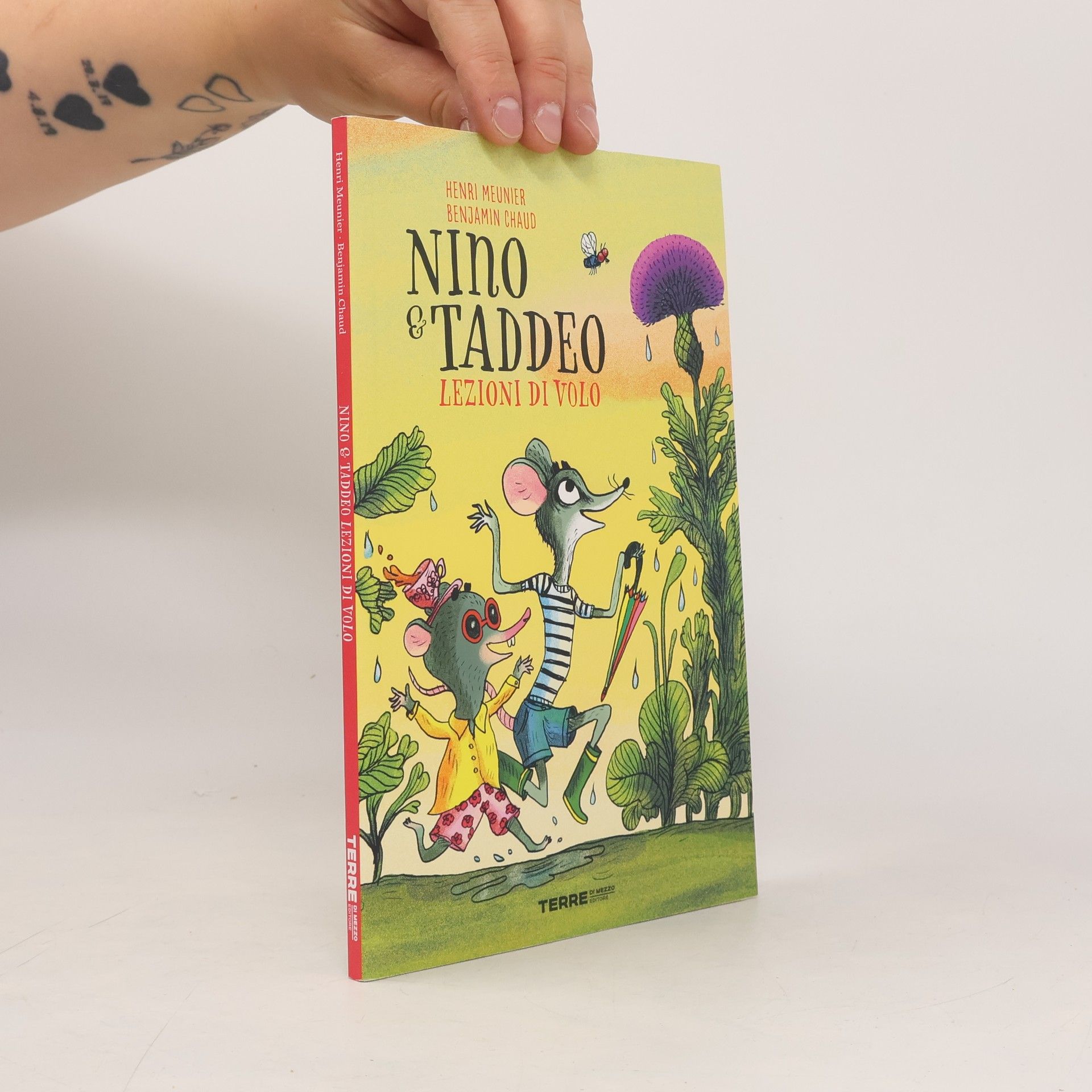Henri Meunier Acchiappastorie: Lezioni di volo. Nino & Taddeo. Ediz. a colori