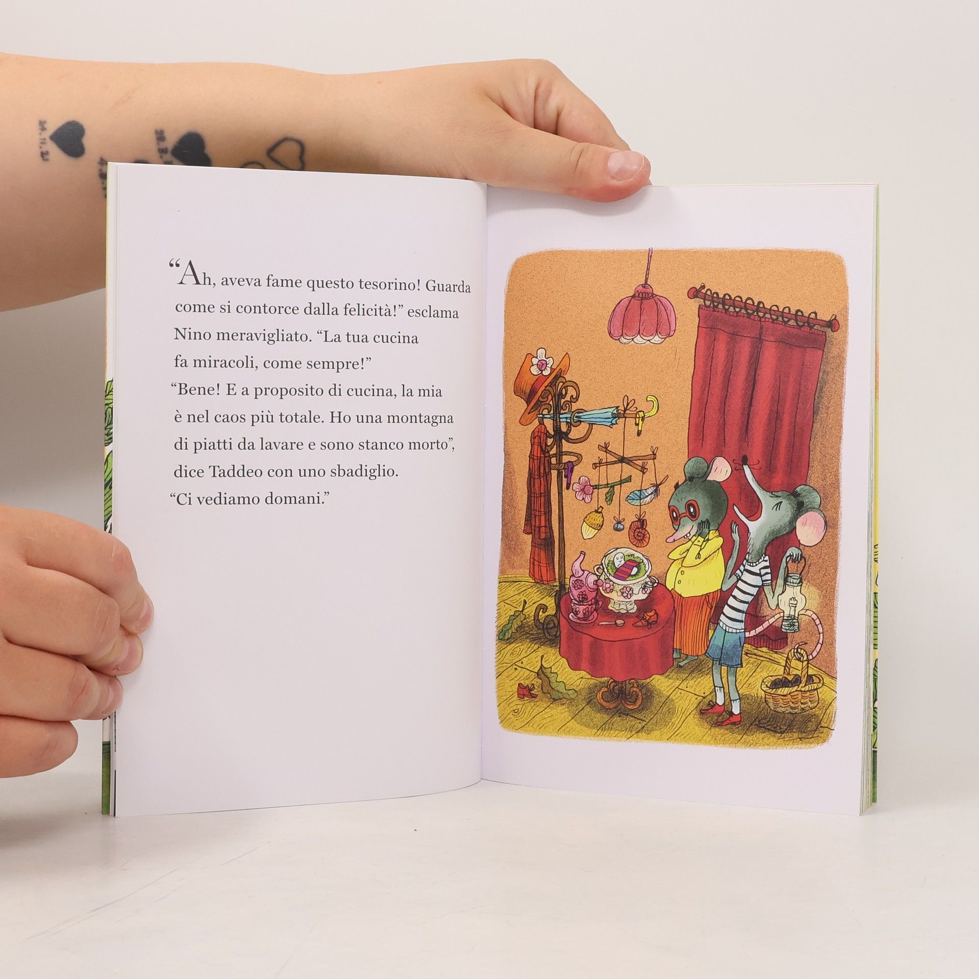 Henri Meunier Acchiappastorie: Lezioni di volo. Nino & Taddeo. Ediz. a colori