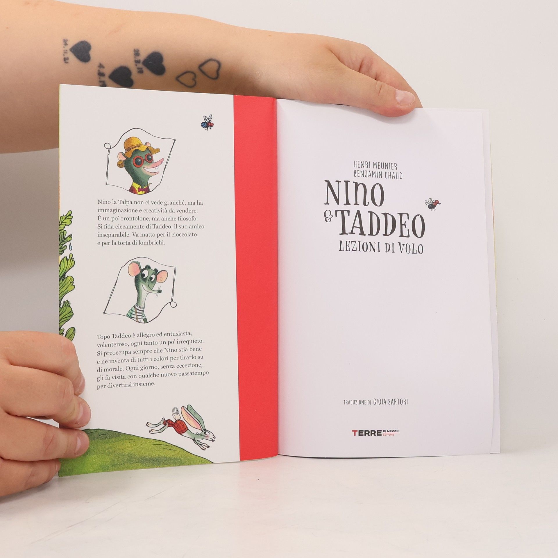 Henri Meunier Acchiappastorie: Lezioni di volo. Nino & Taddeo. Ediz. a colori