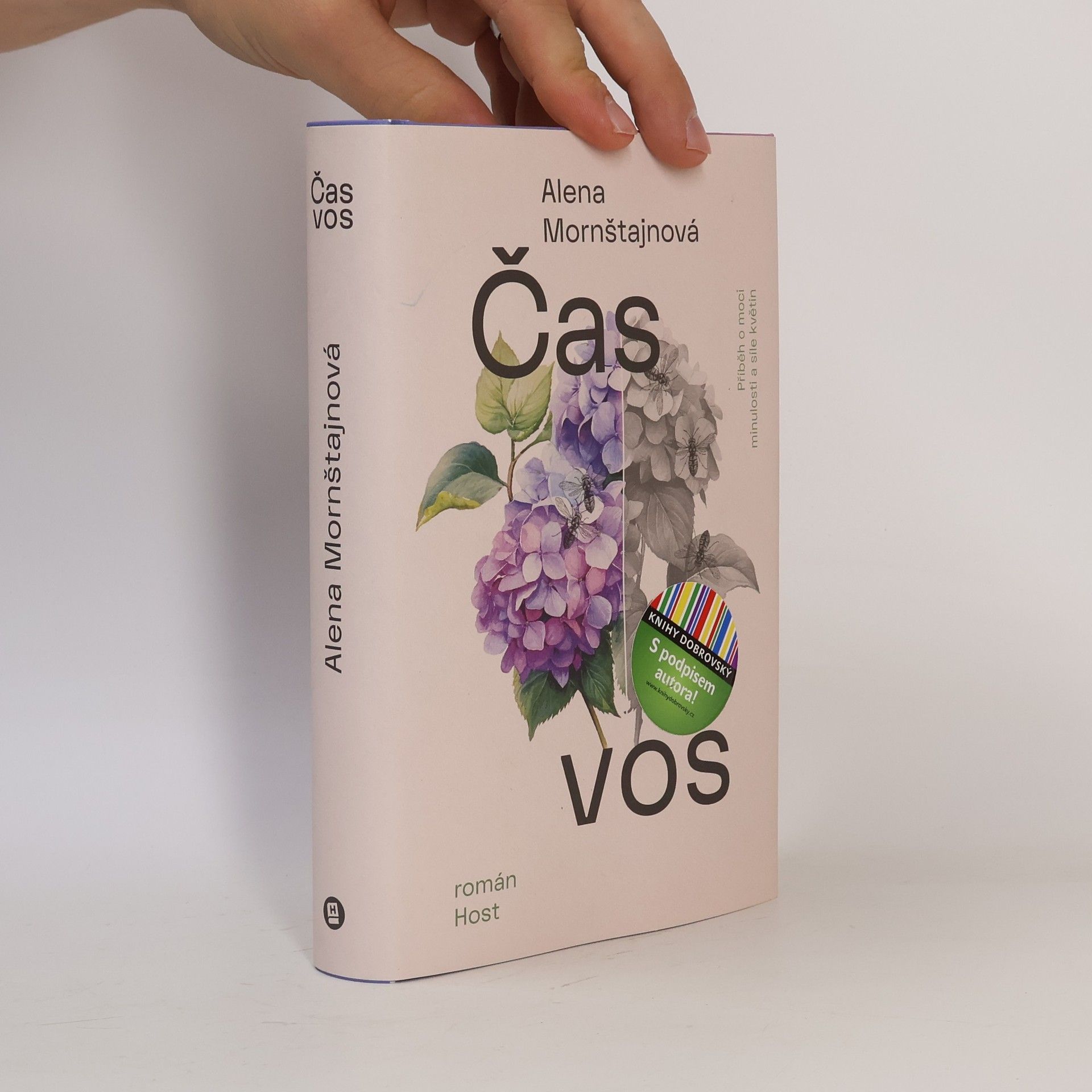 Alena Mornštajnová Čas vos