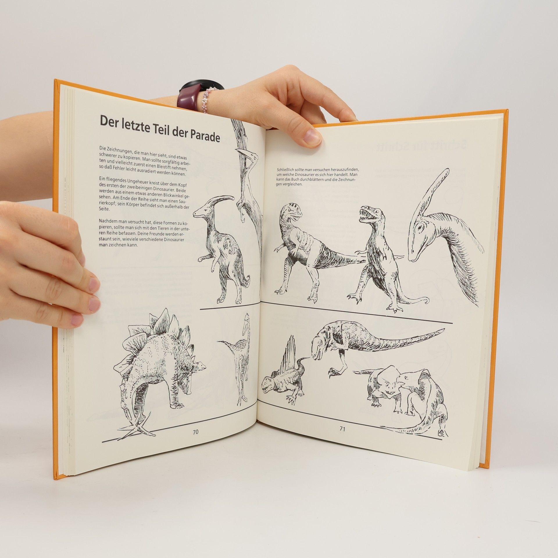 Bruce Robertson Dinosaurier und andere Urwelttiere zeichnen
