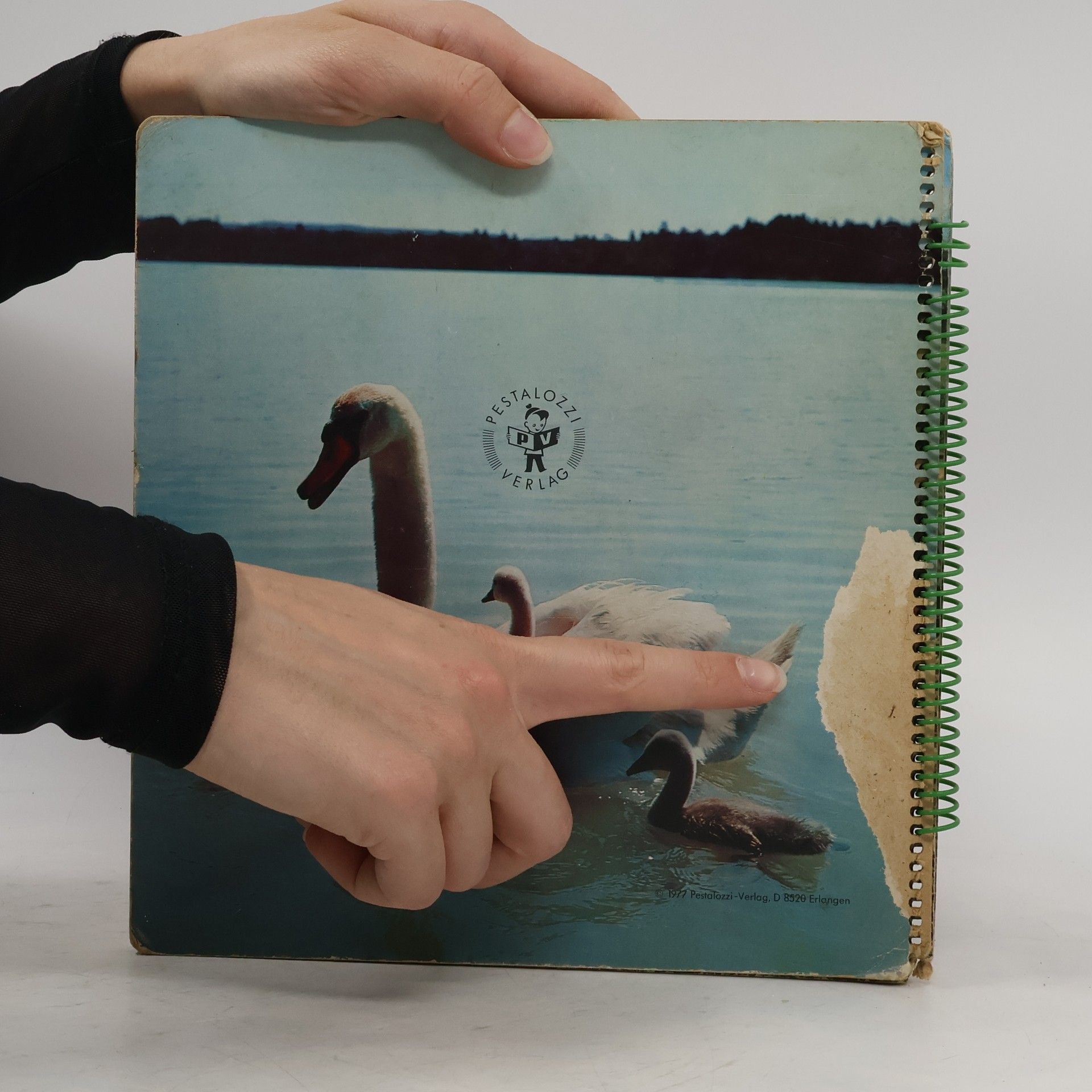 Autorenkollektiv Tiere zum Liebhaben