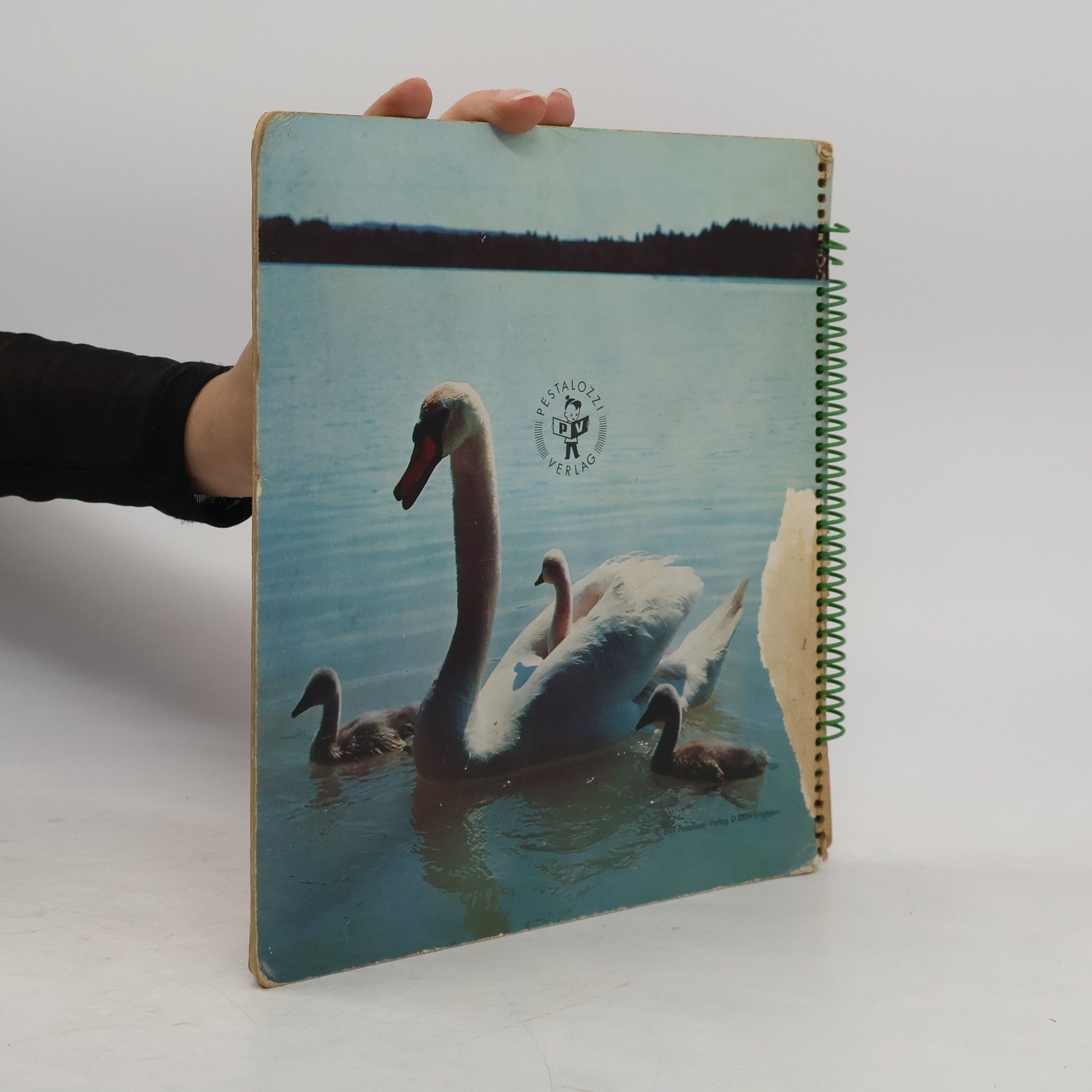 Autorenkollektiv Tiere zum Liebhaben