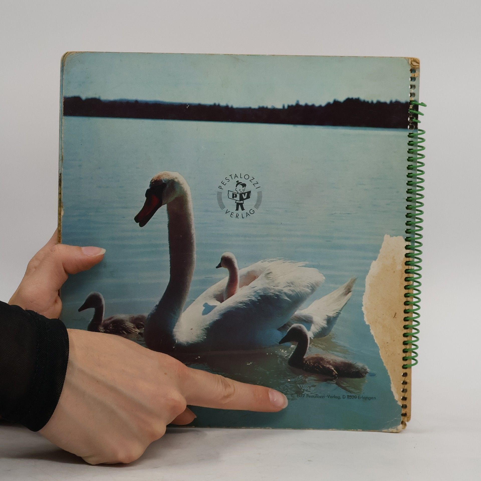 Autorenkollektiv Tiere zum Liebhaben