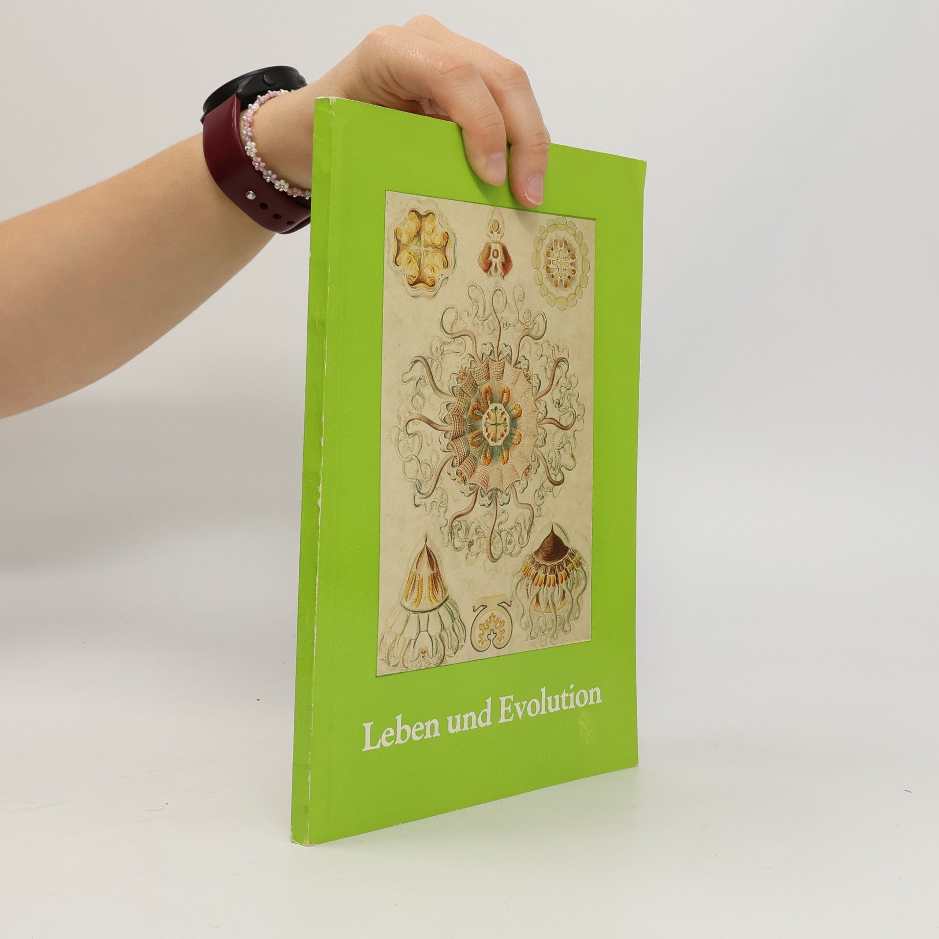 Leben und Evolution
