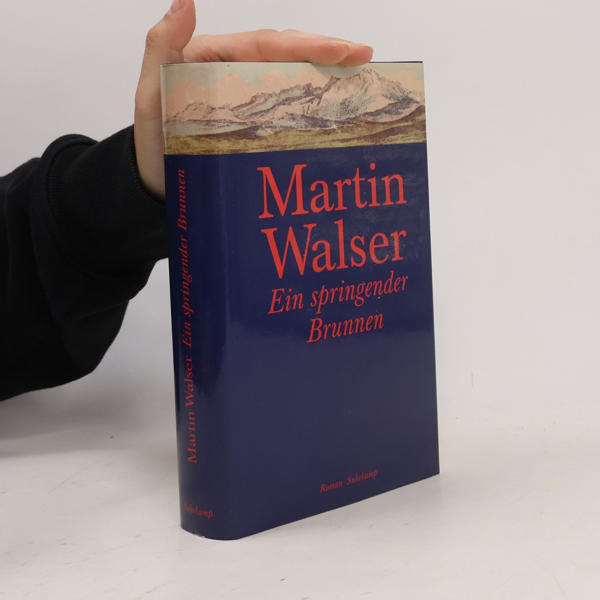 Martin Walser Ein springender Brunnen