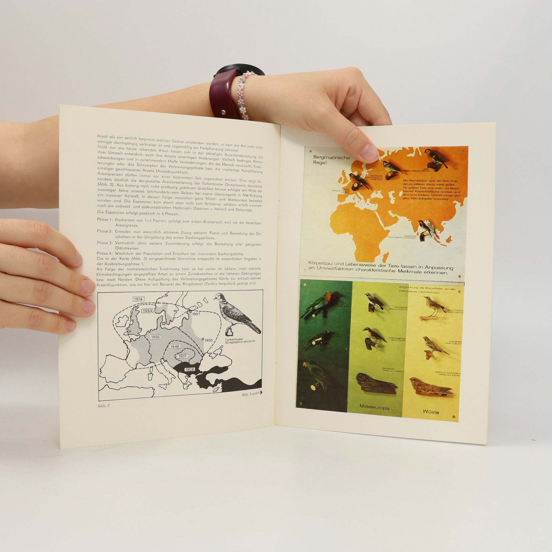 AA.VV. Tiergeographie