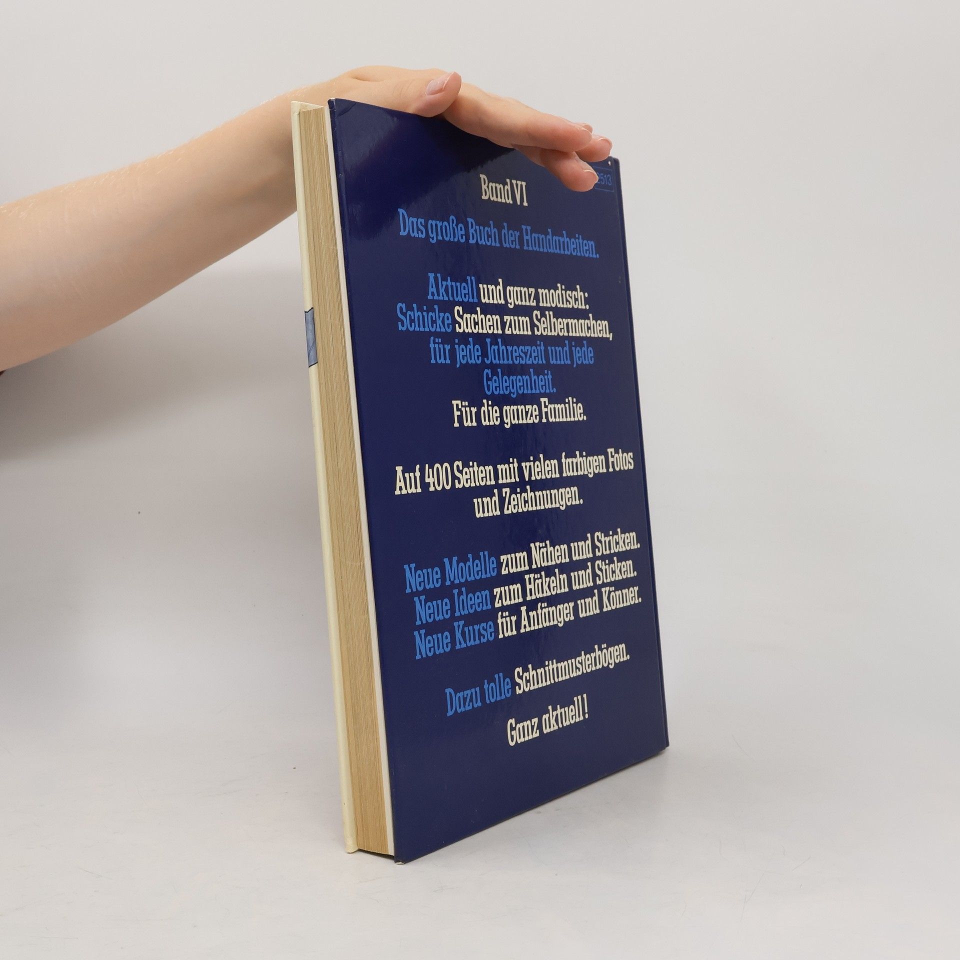 Kolektiv autorů Das Grosse buch der Handarbeiten VI.