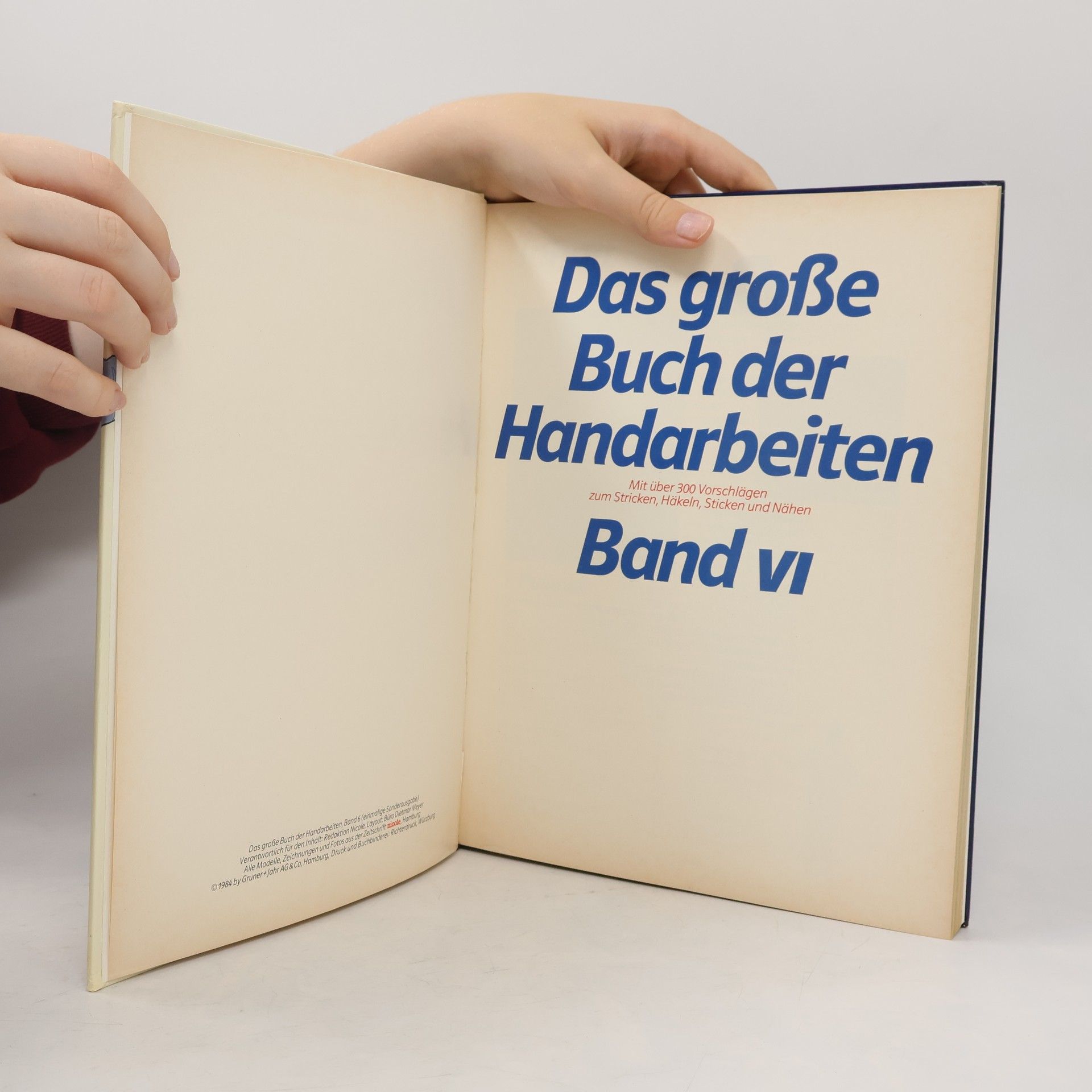 Kolektiv autorů Das Grosse buch der Handarbeiten VI.