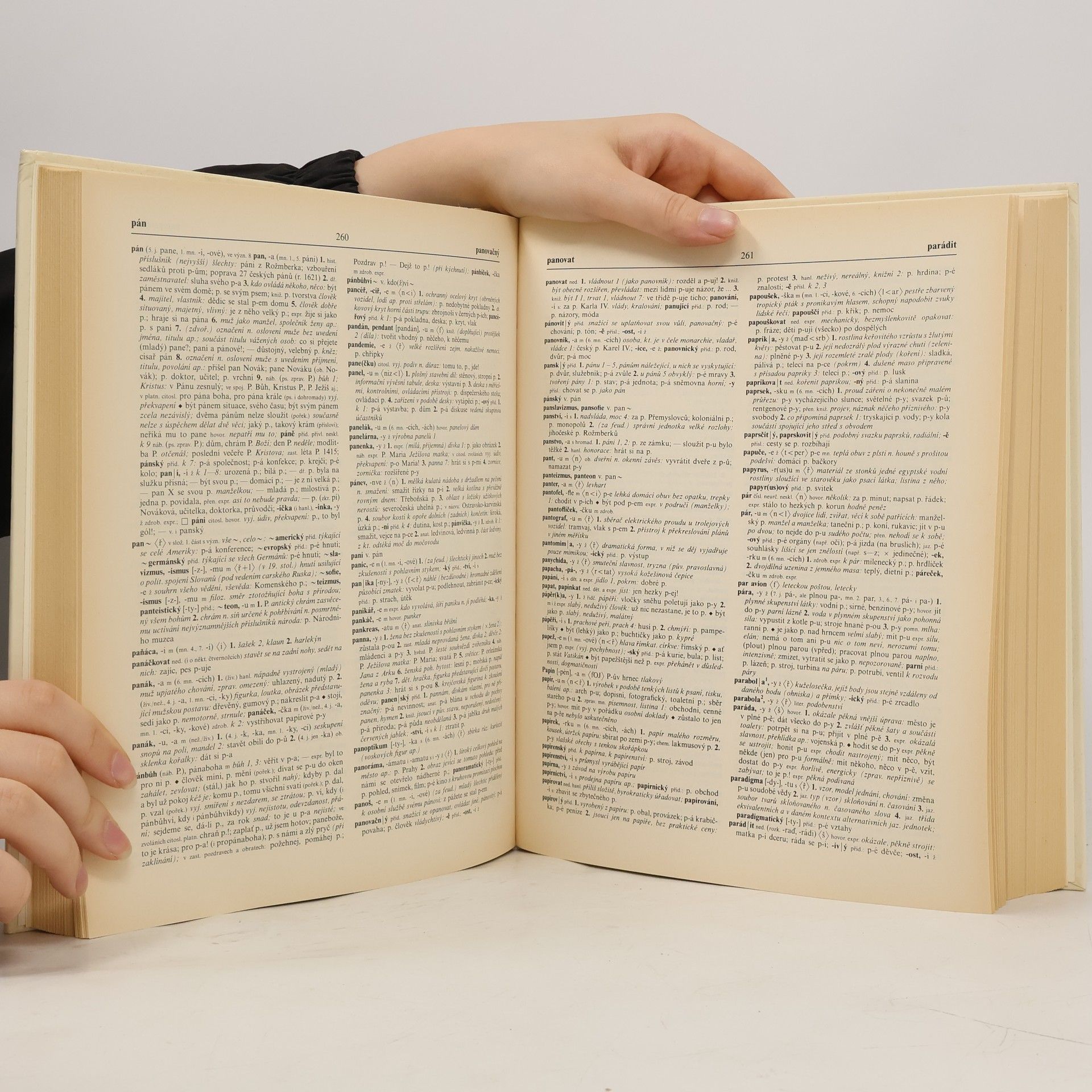 Autores varios Slovník spisovné češtiny pro školu a veřejnost