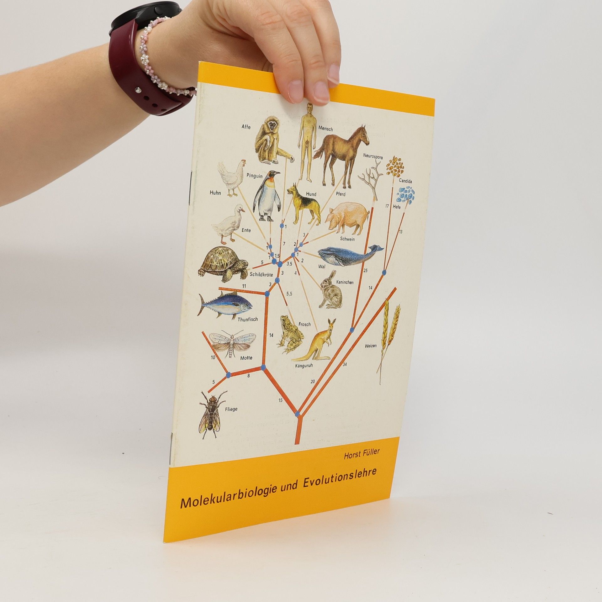 Horst Füller Molekularbiologie und Evolutionslehre