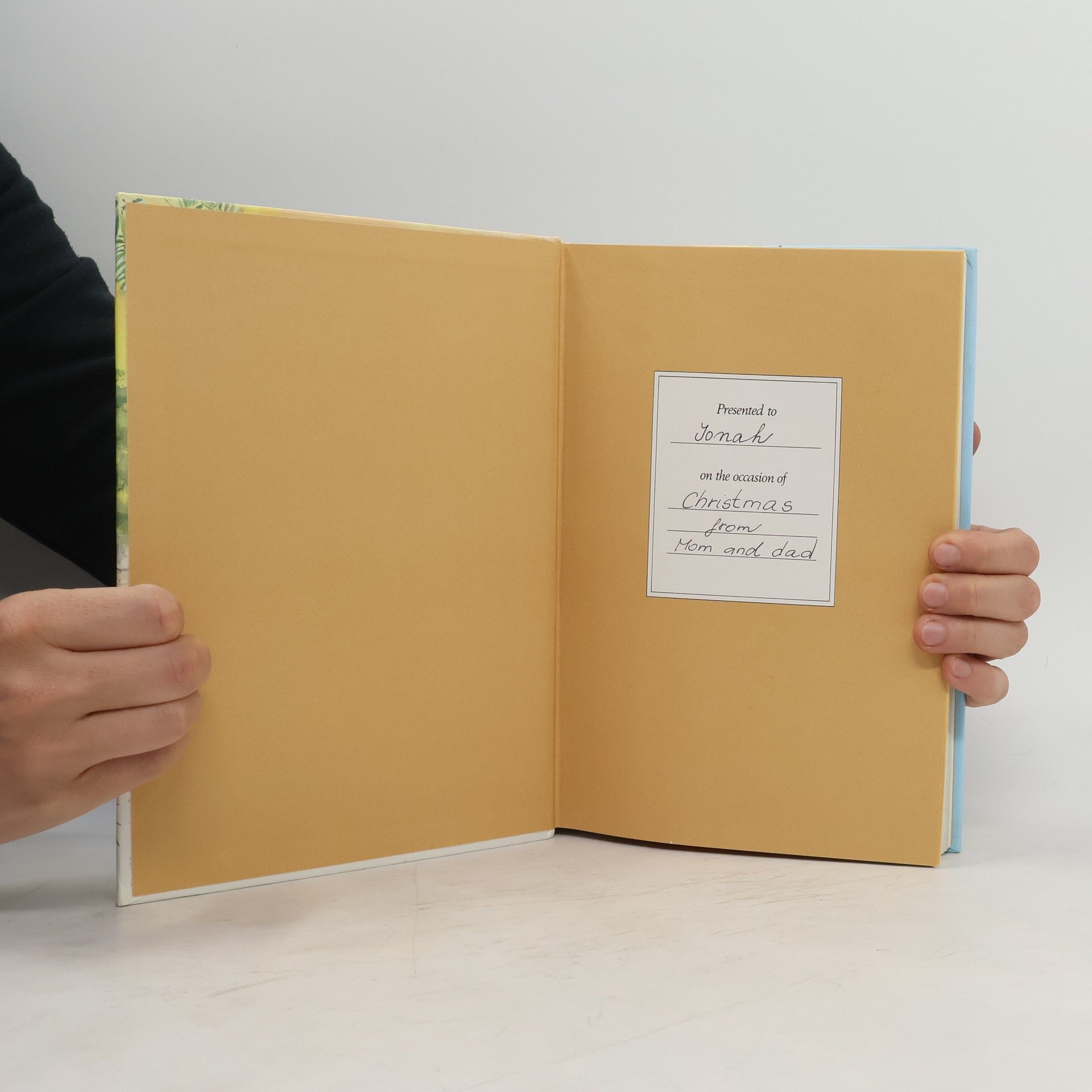 Mary Batchelor The children's Bible in 365 stories