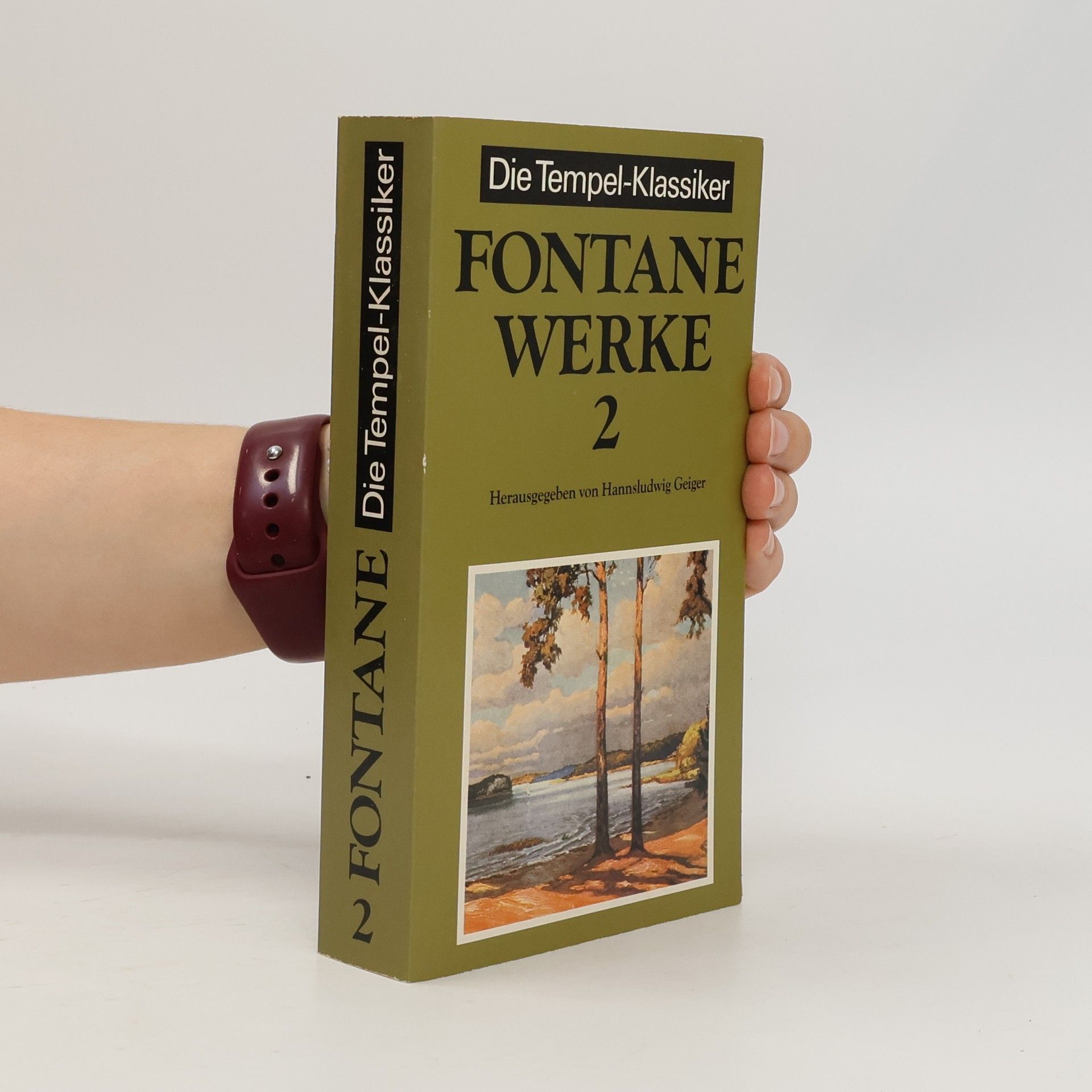 Theodor Fontane Die Tempel-Klassiker 2