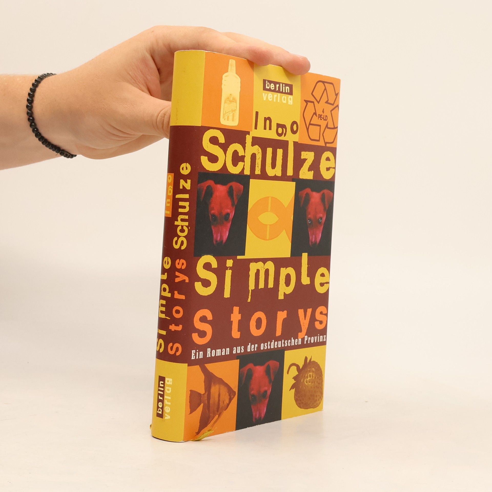 Ingo Schulze Simple Storys