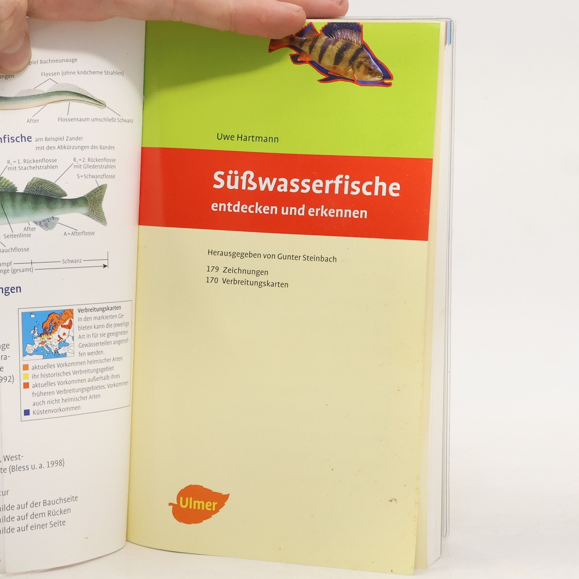 Uwe Hartmann Süßwasserfische entdecken und erkennen
