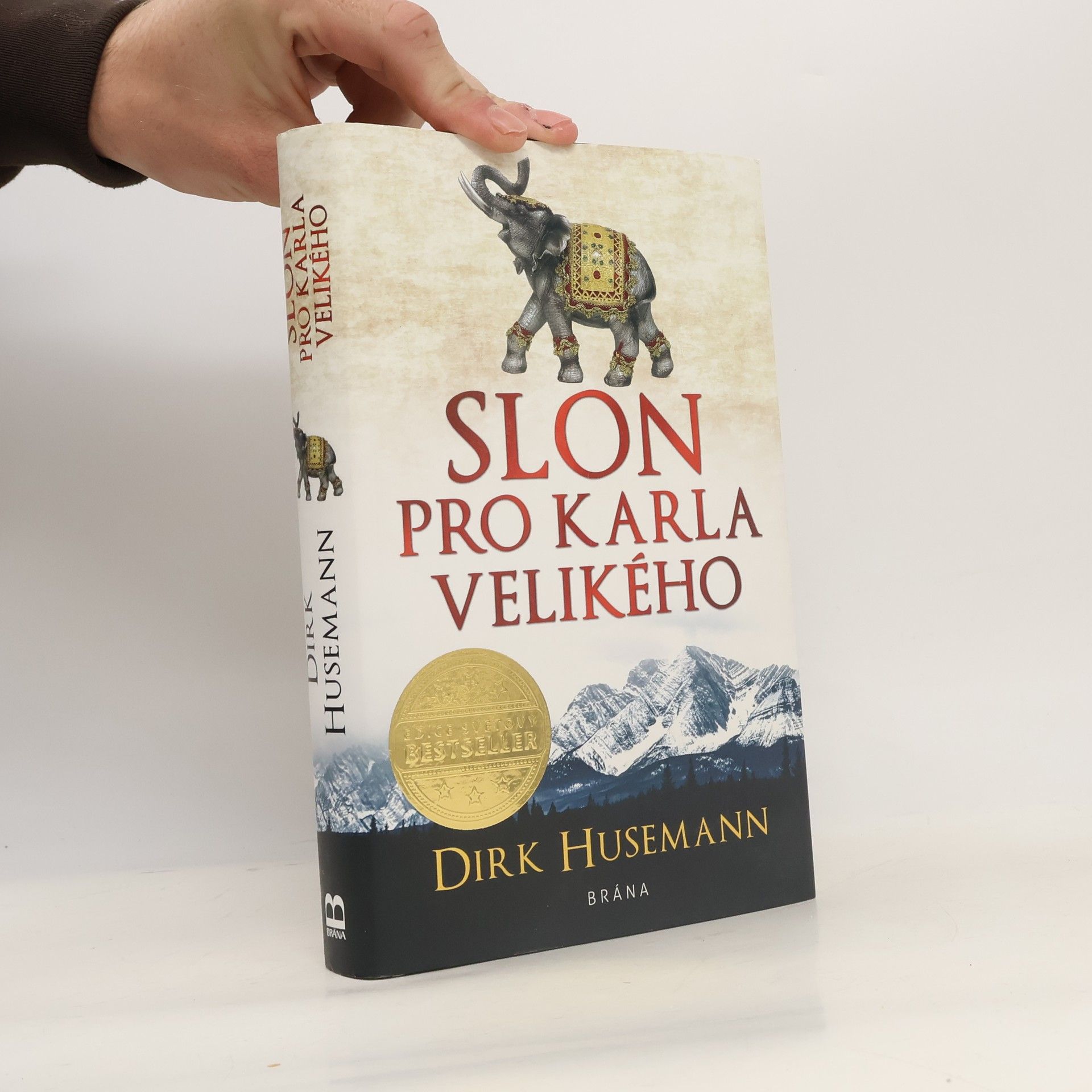 Dirk Husemann Slon pro Karla Velikého