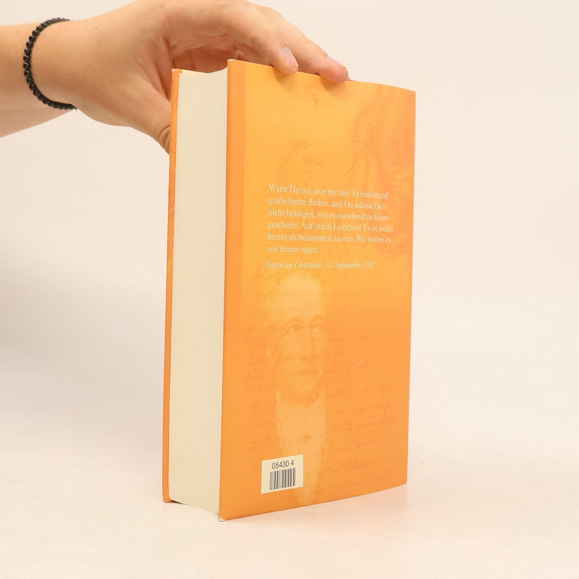 Sigrid Damm Christiane und Goethe