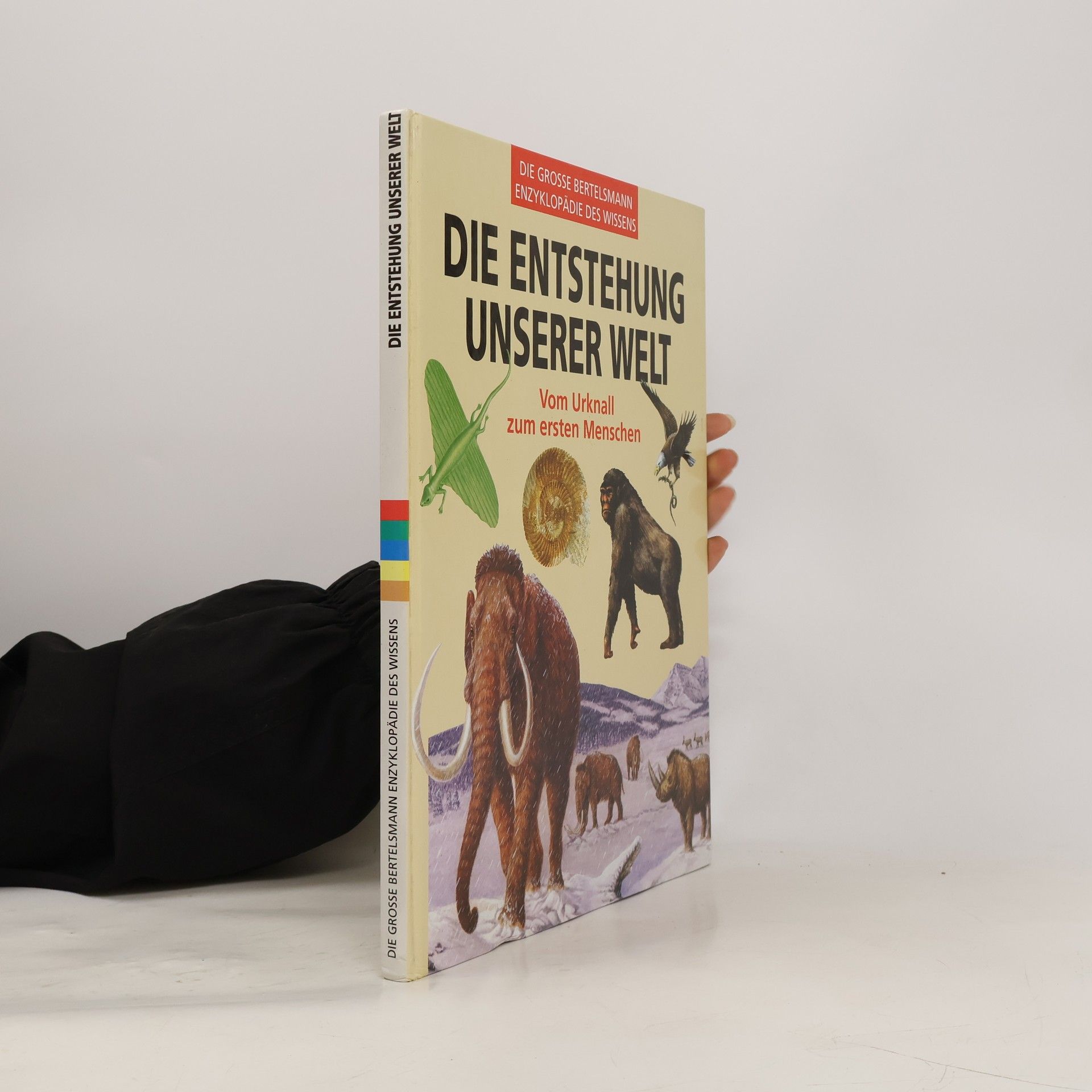 Kolektív autorov Die Entstehung unserer Welt