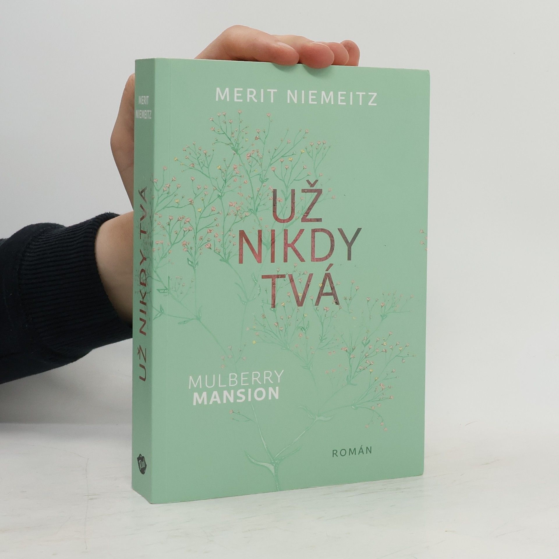 Merit Niemeitz Už nikdy tvá