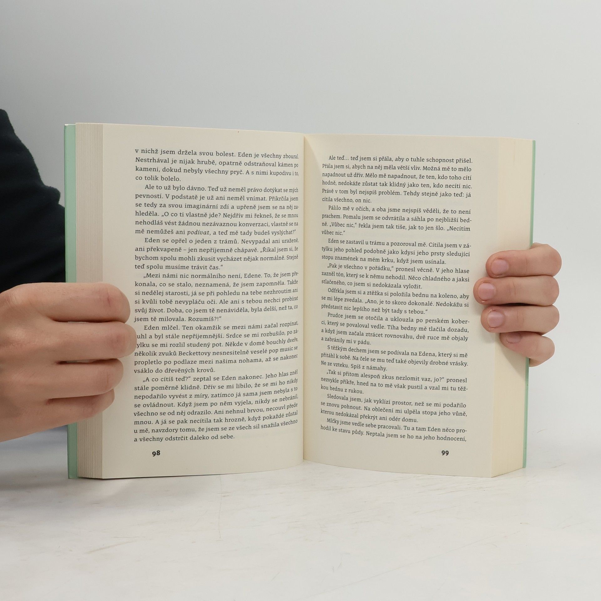 Merit Niemeitz Už nikdy tvá