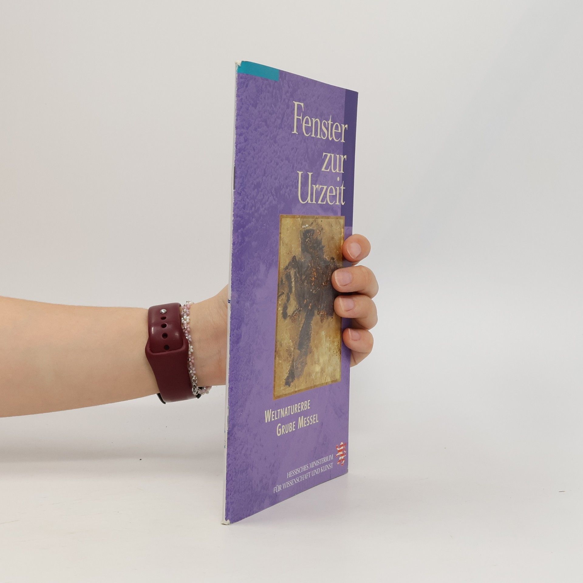 Collectif d'auteurs Fenster zur Urzeit