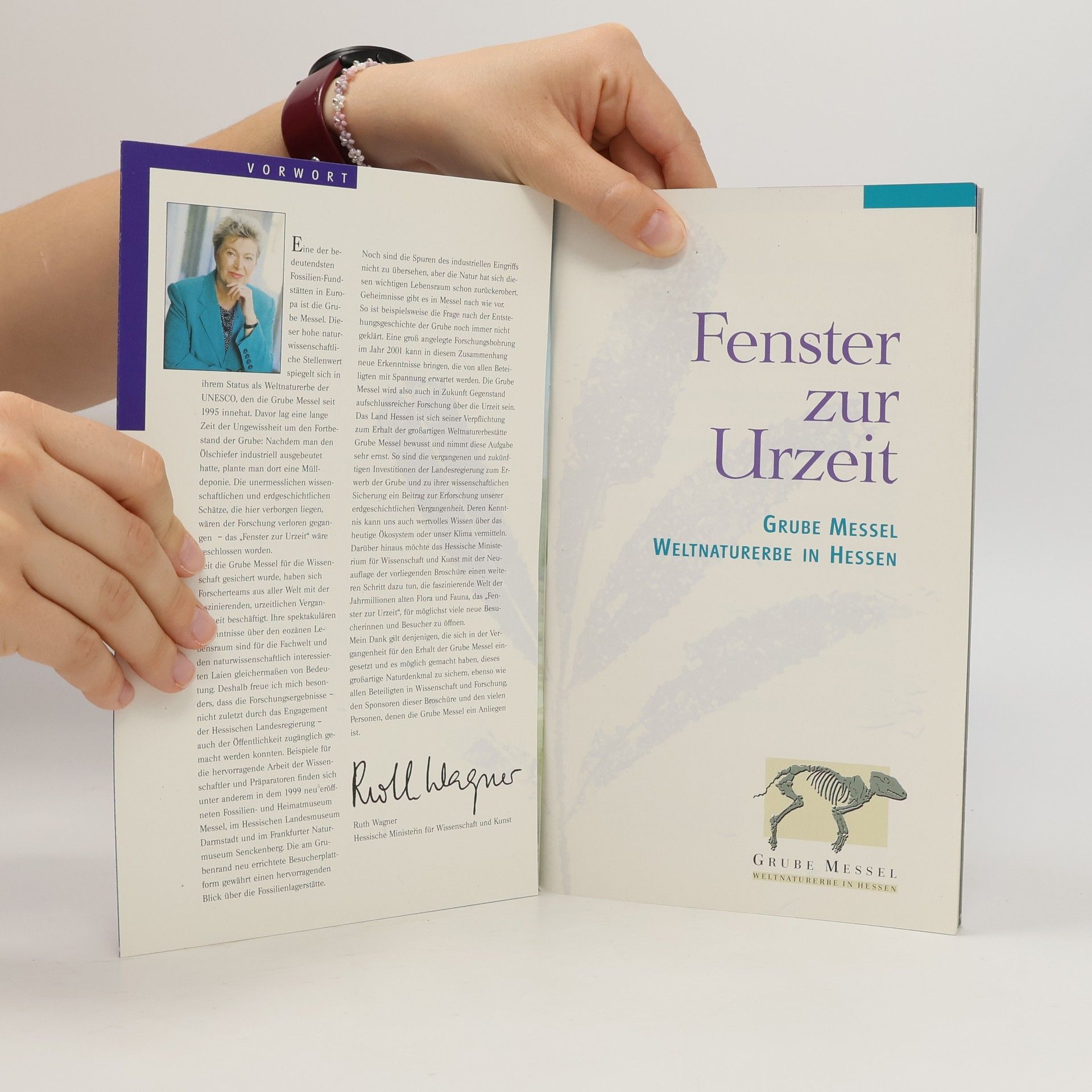 Collectif d'auteurs Fenster zur Urzeit