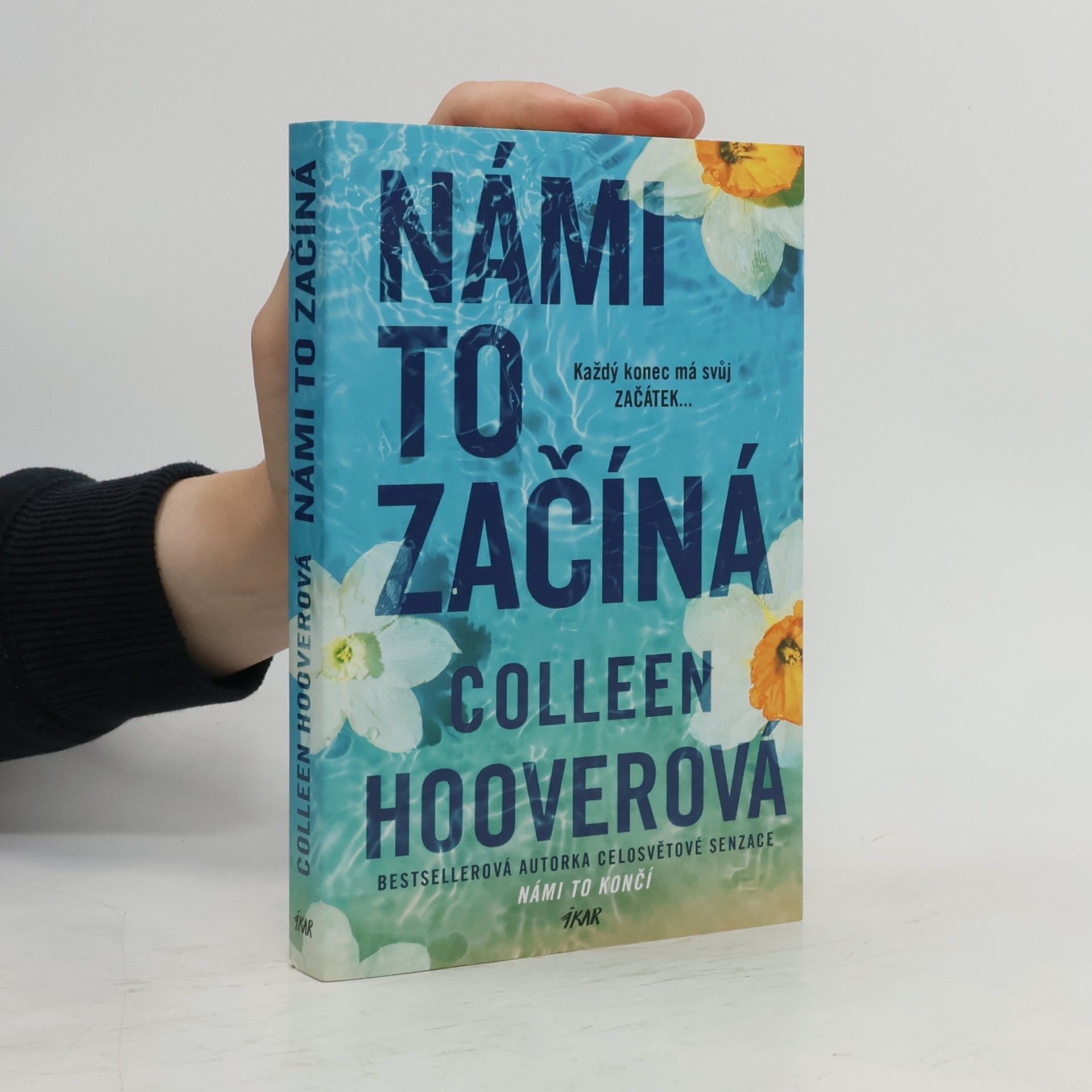 Colleen Hoover Námi to začíná