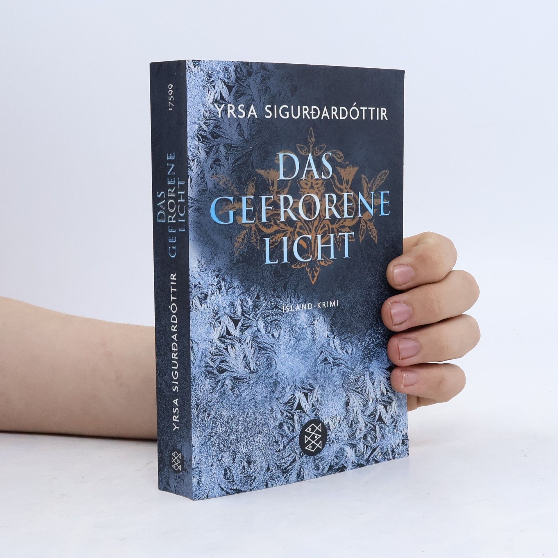 Yrsa Sigurðardóttir Das gefrorene Licht : Island - Krimi