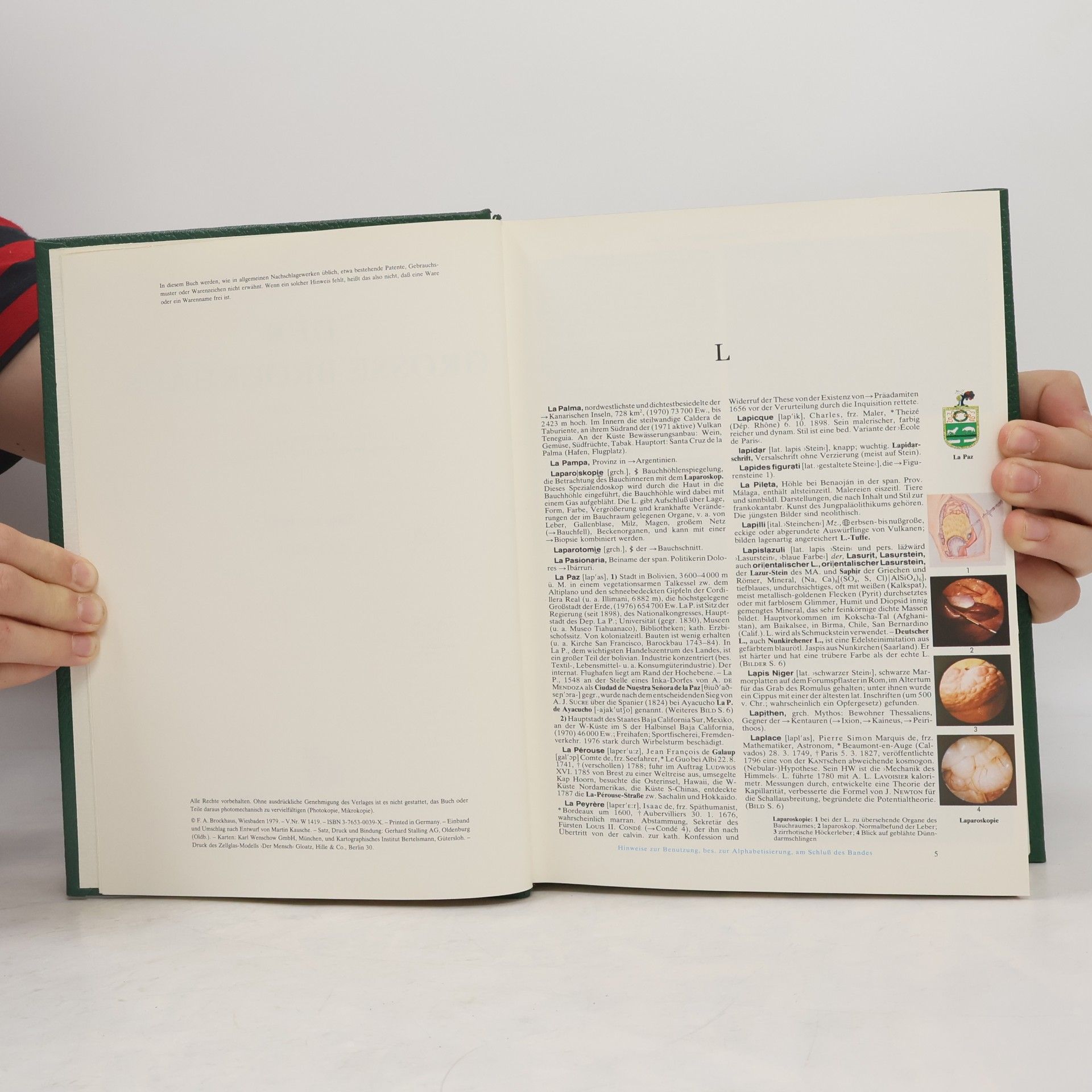 Autorenkollektiv Der grosse Brockhaus 7