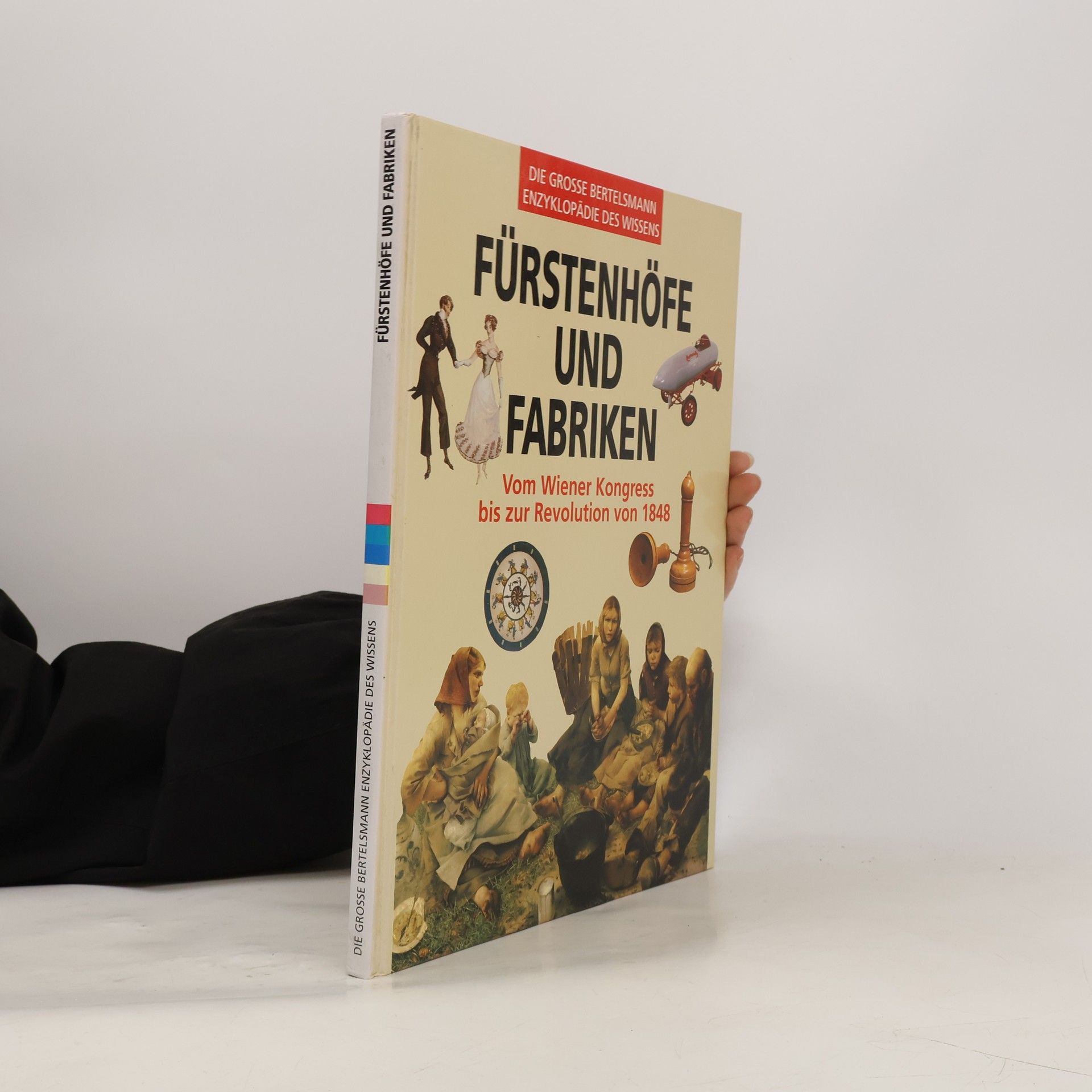 Kolektív autorov Fürstenhöfe und Fabriken