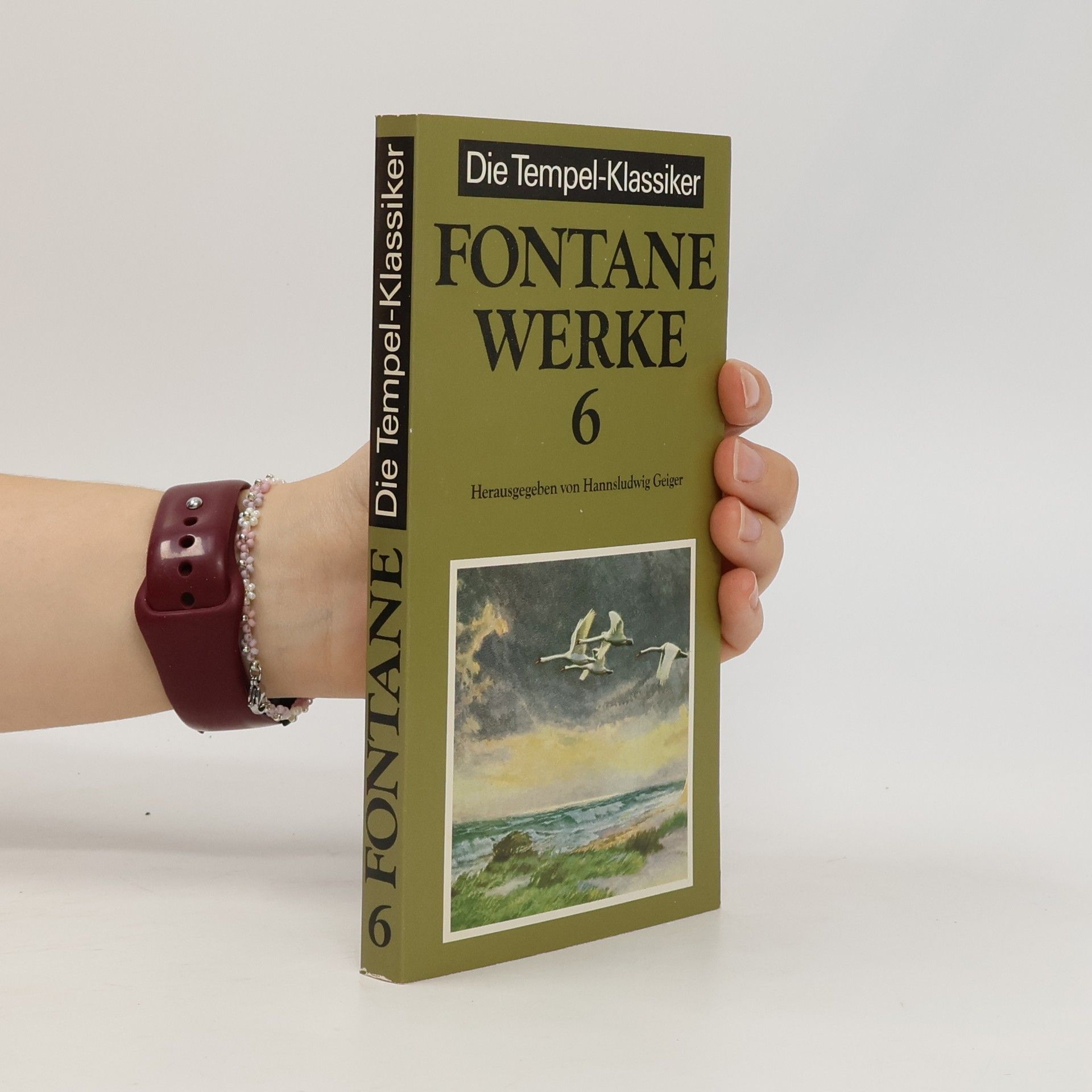 Theodor Fontane Werke 6