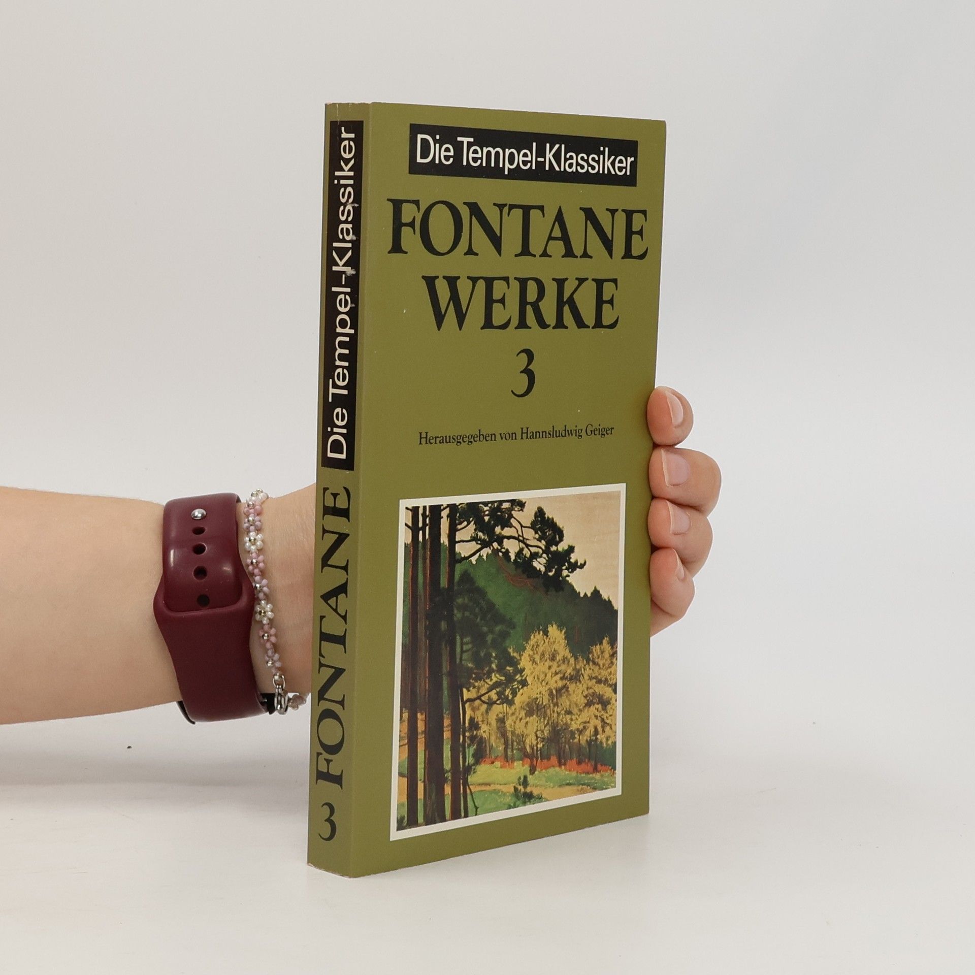Theodor Fontane Werke 3